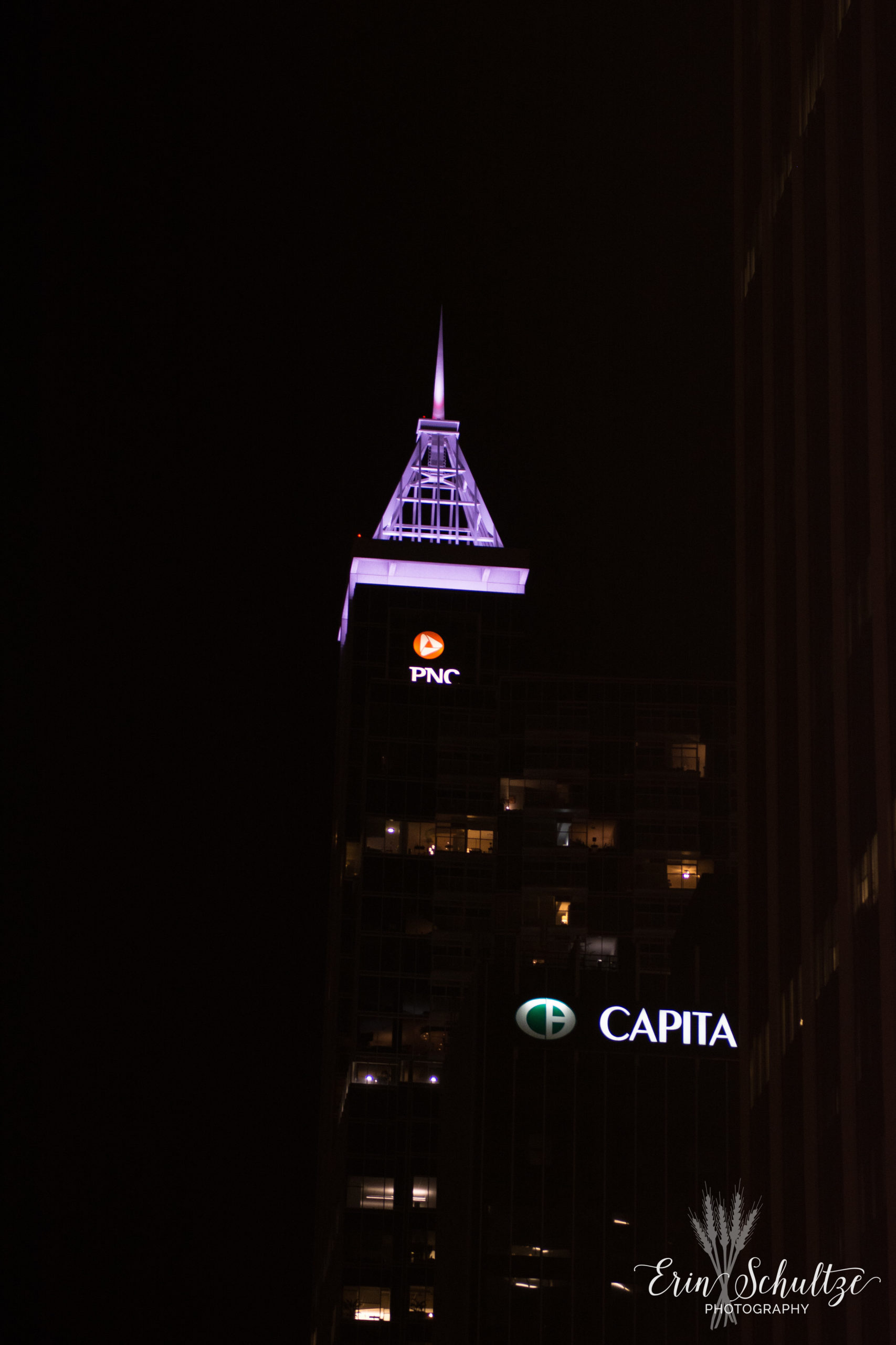 DSC_3692.jpg