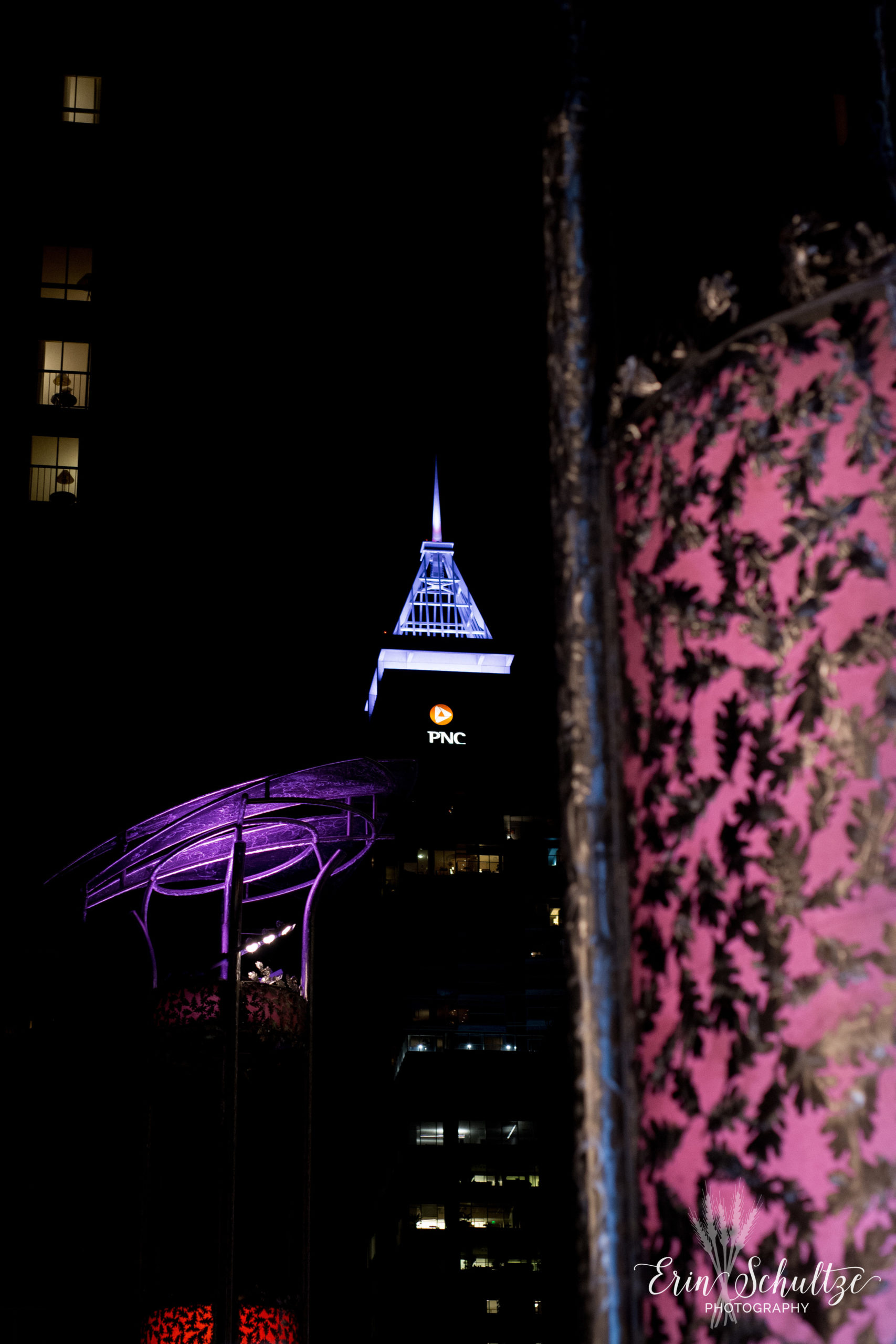 DSC_3848.jpg