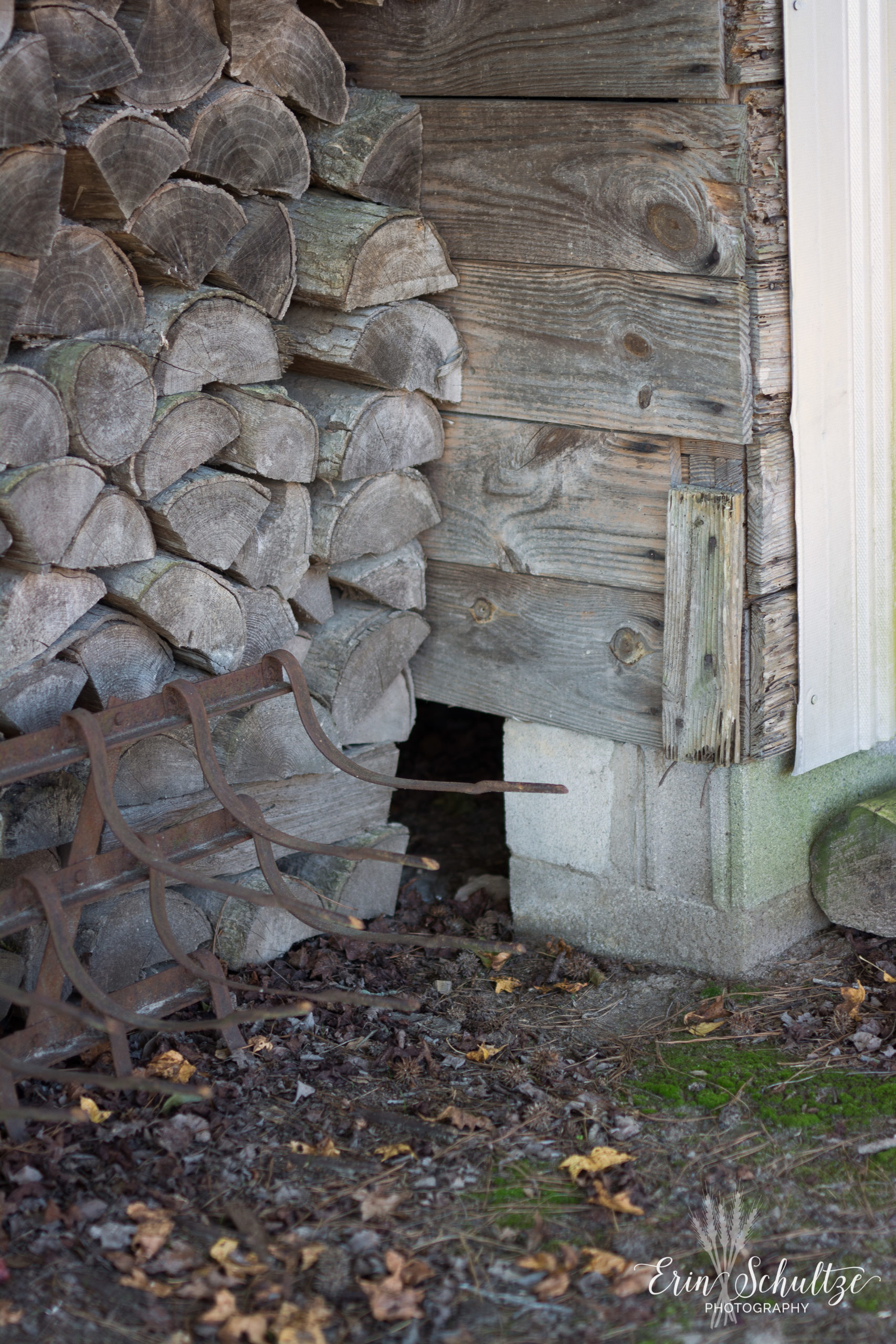 DSC_5039.jpg