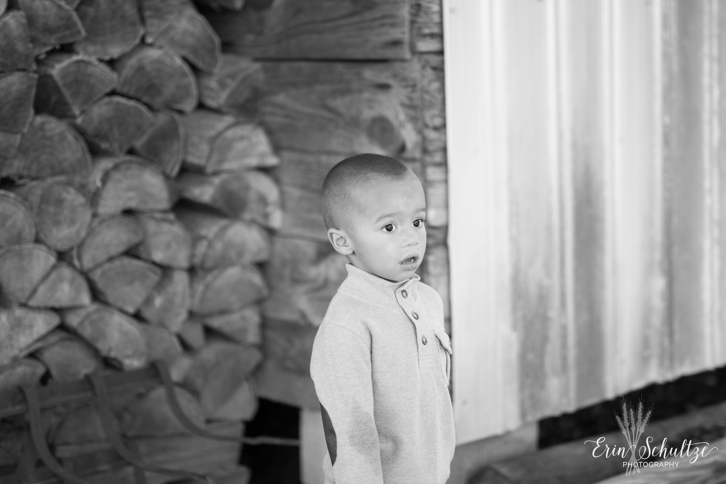 DSC_5111.jpg