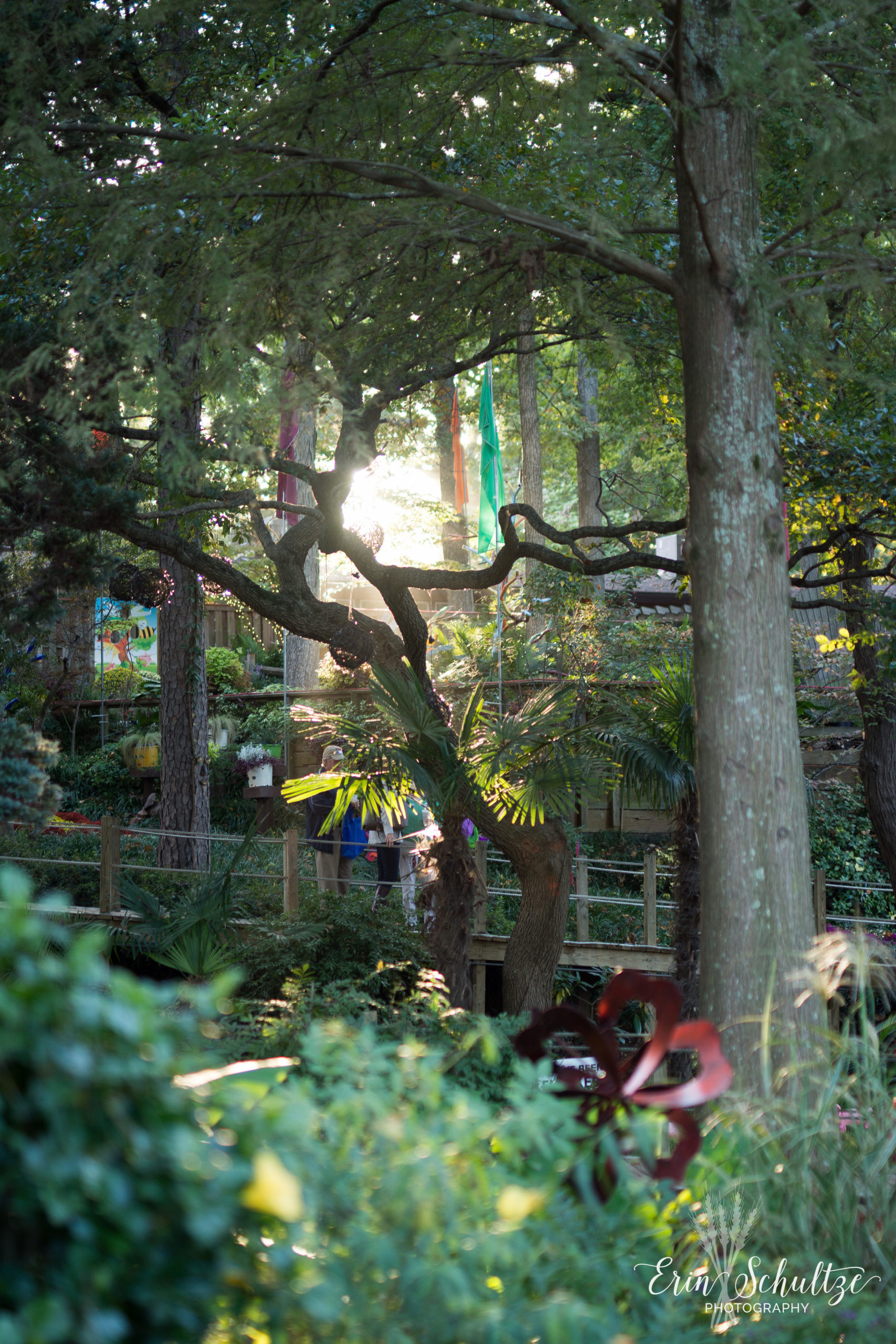 DSC_5406.jpg