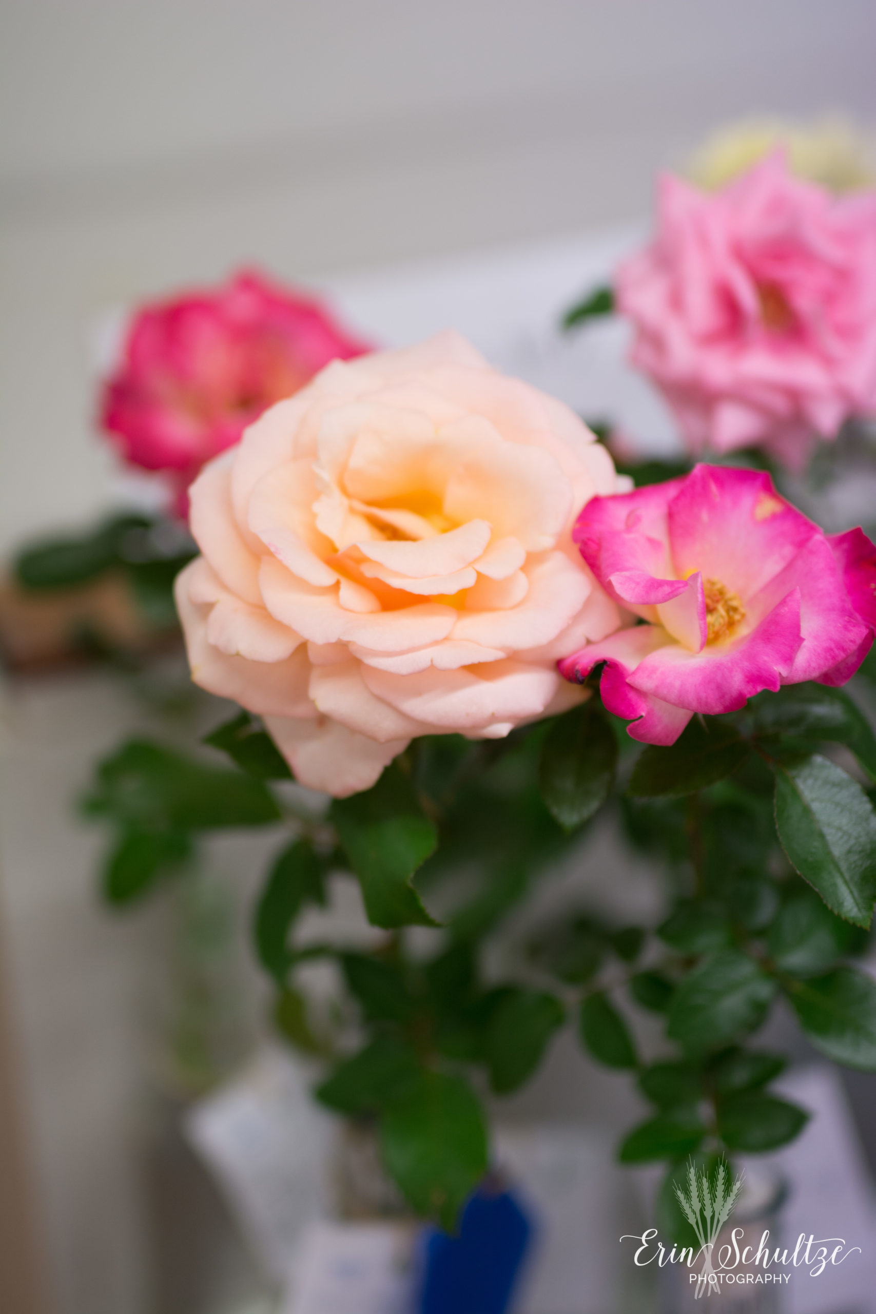 DSC_5446.jpg