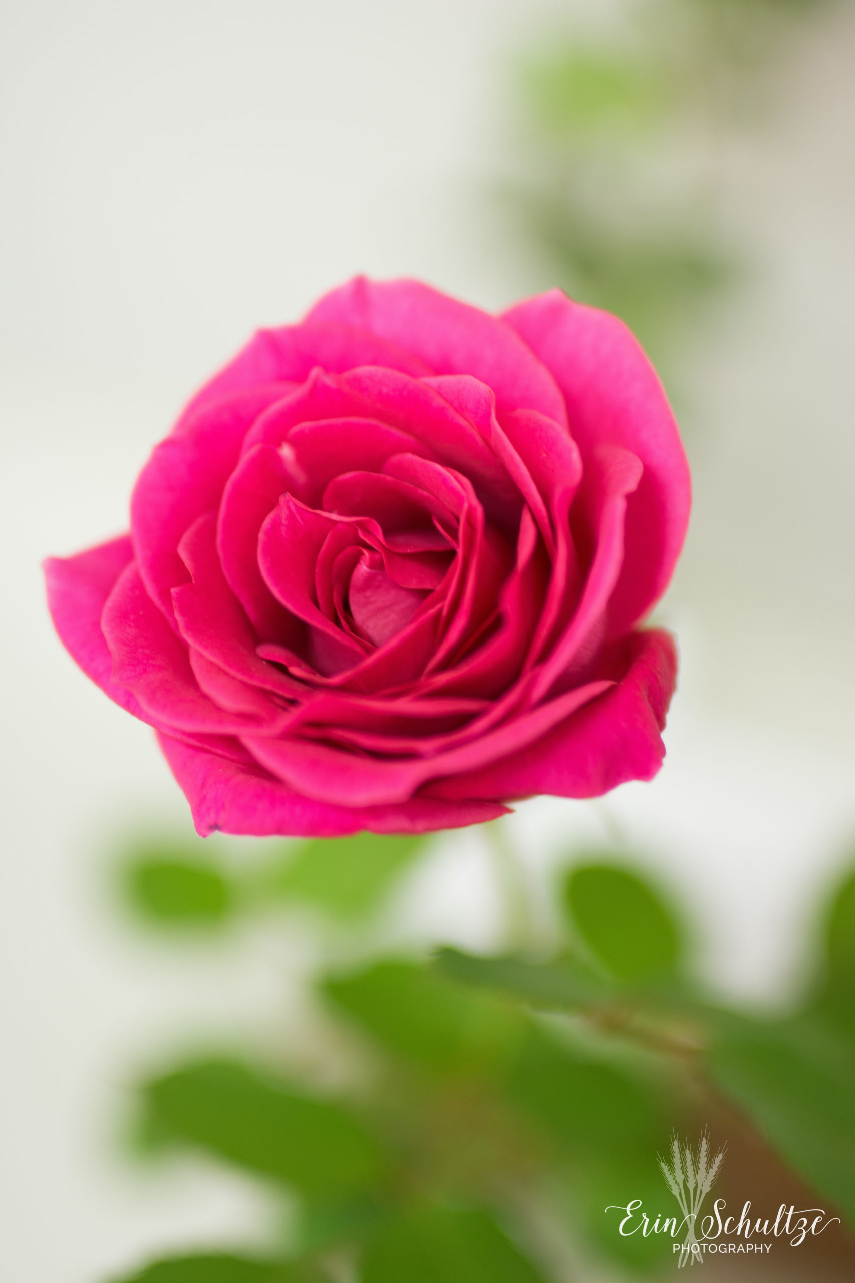 DSC_5449.jpg