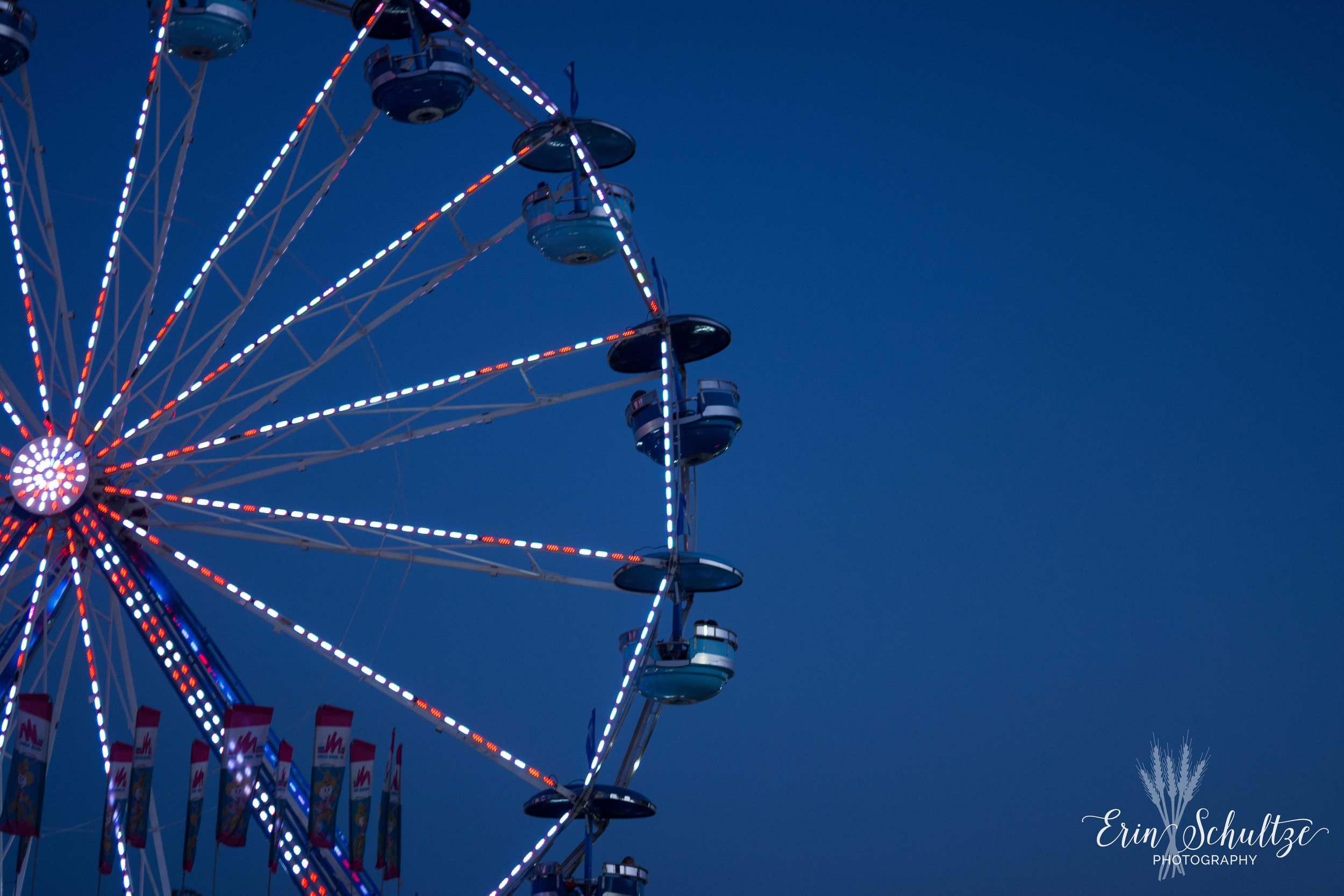 DSC_5514.jpg