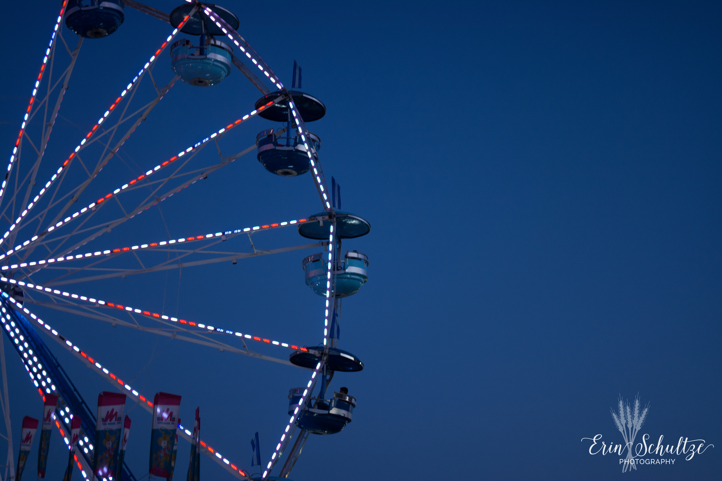 DSC_5515.jpg