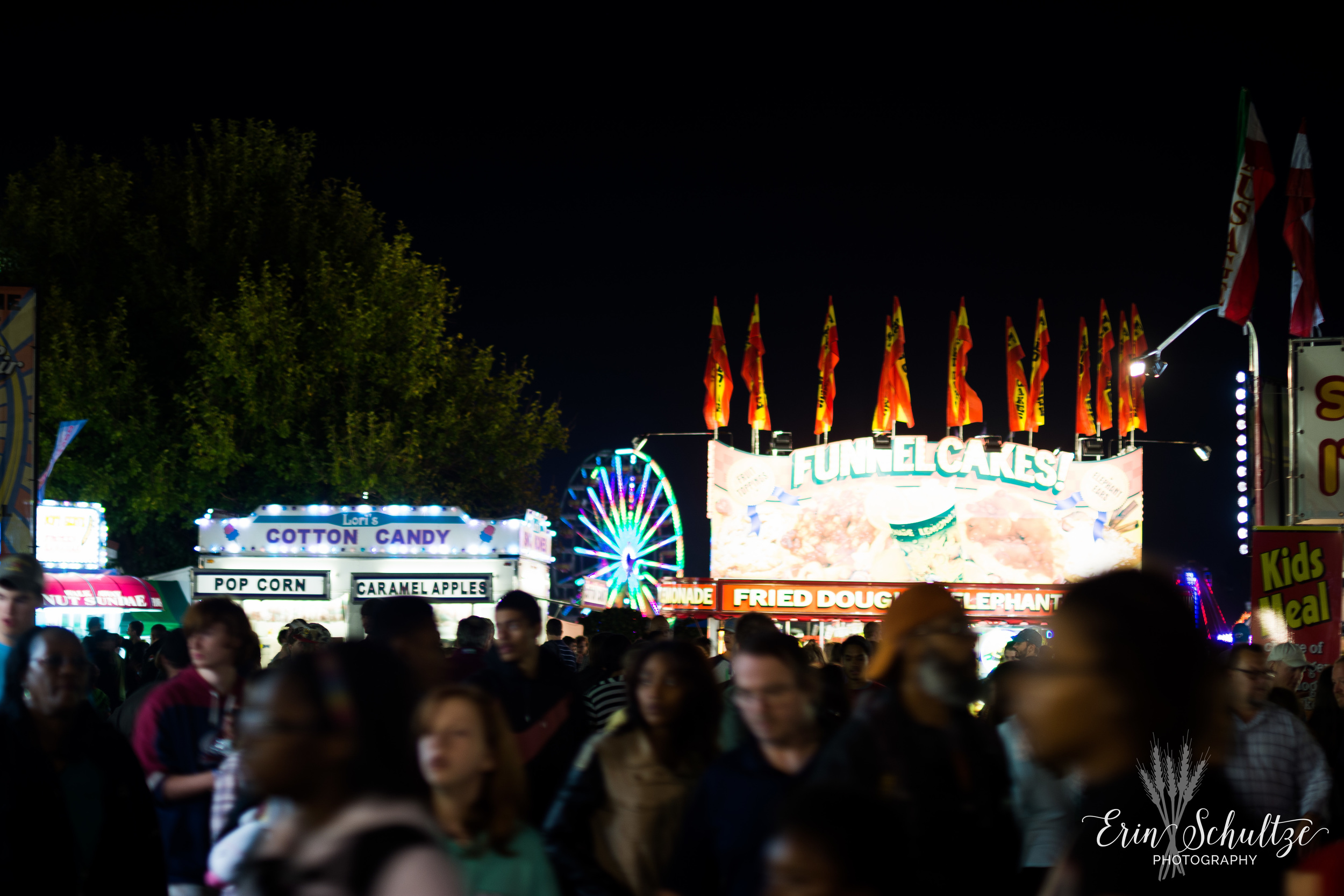 DSC_5532.jpg