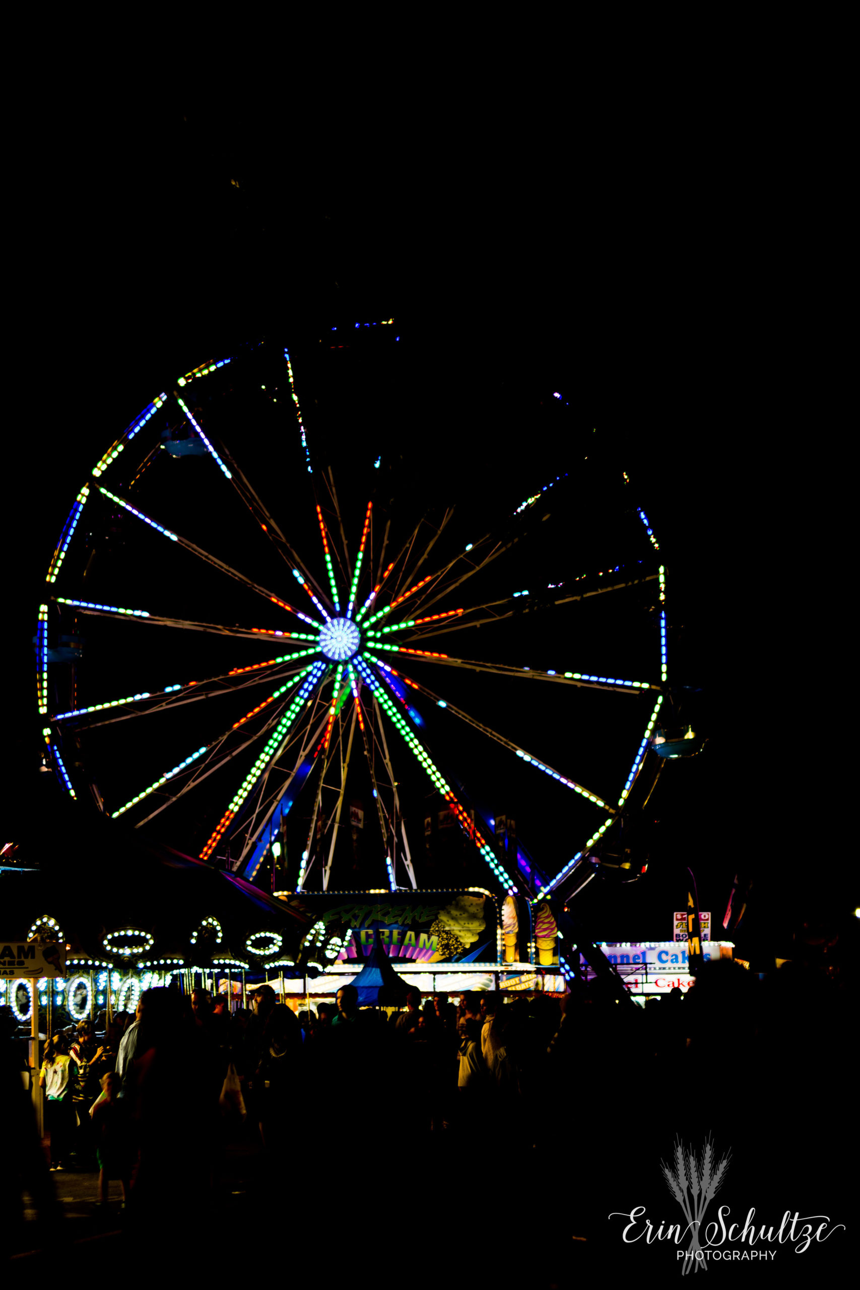 DSC_5551.jpg