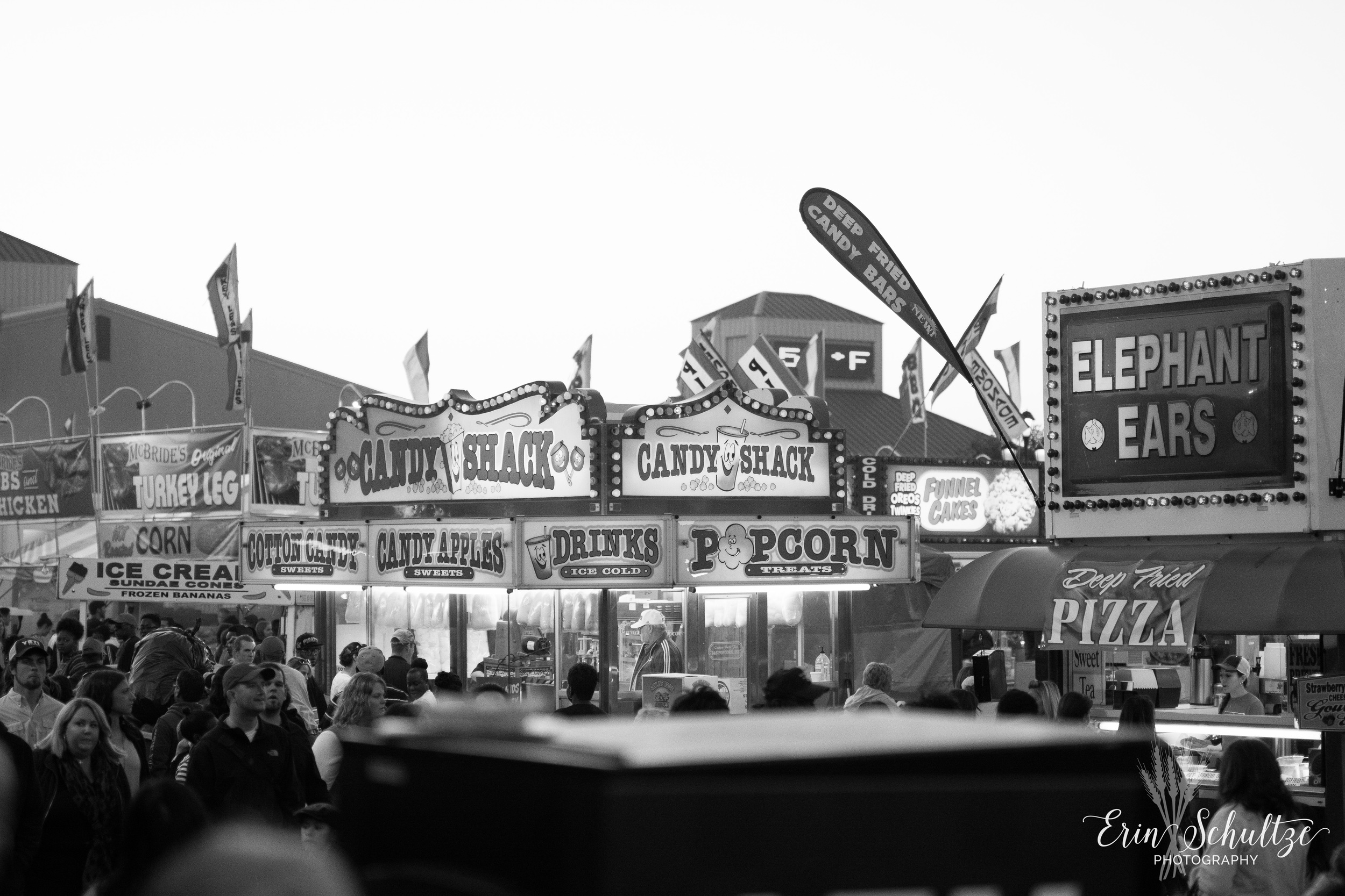 DSC_5724.jpg