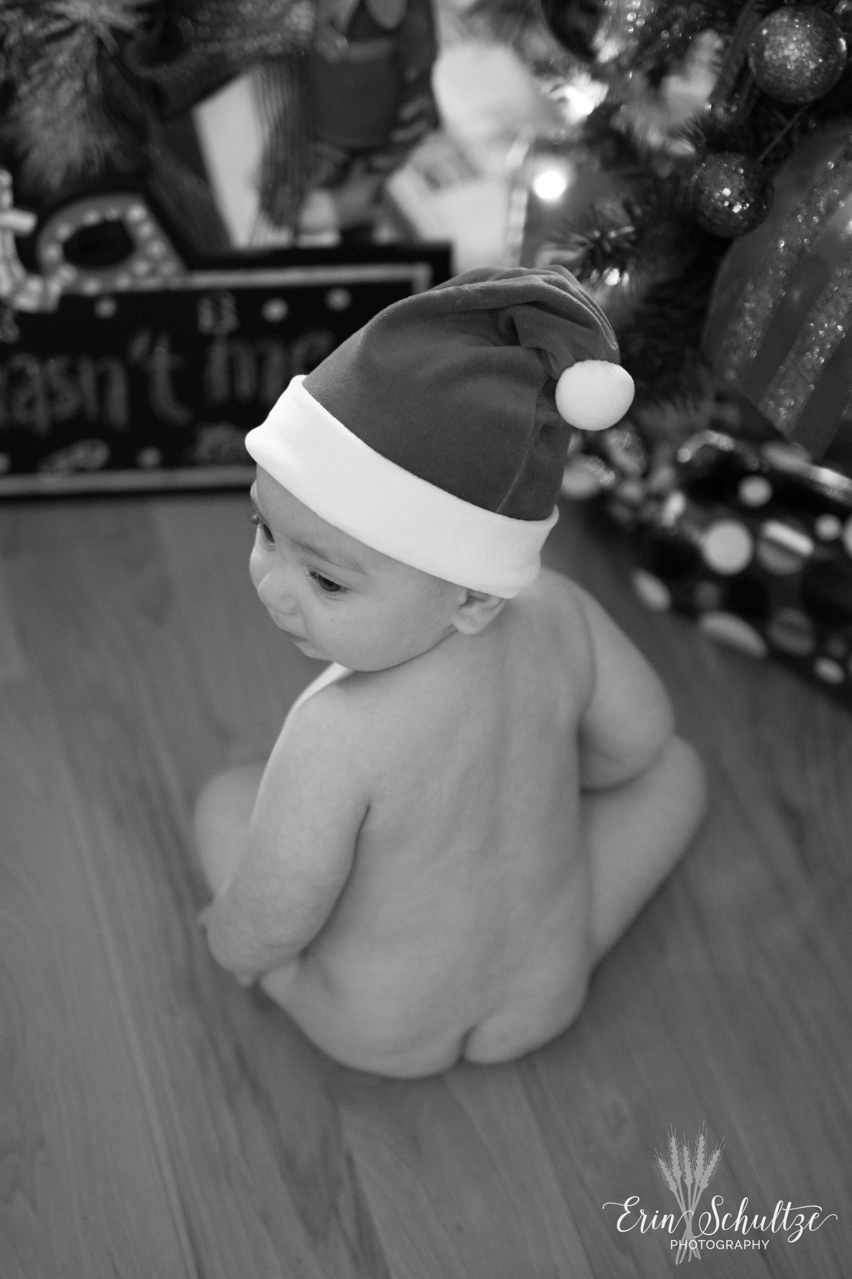 DSC_0645-2.jpg