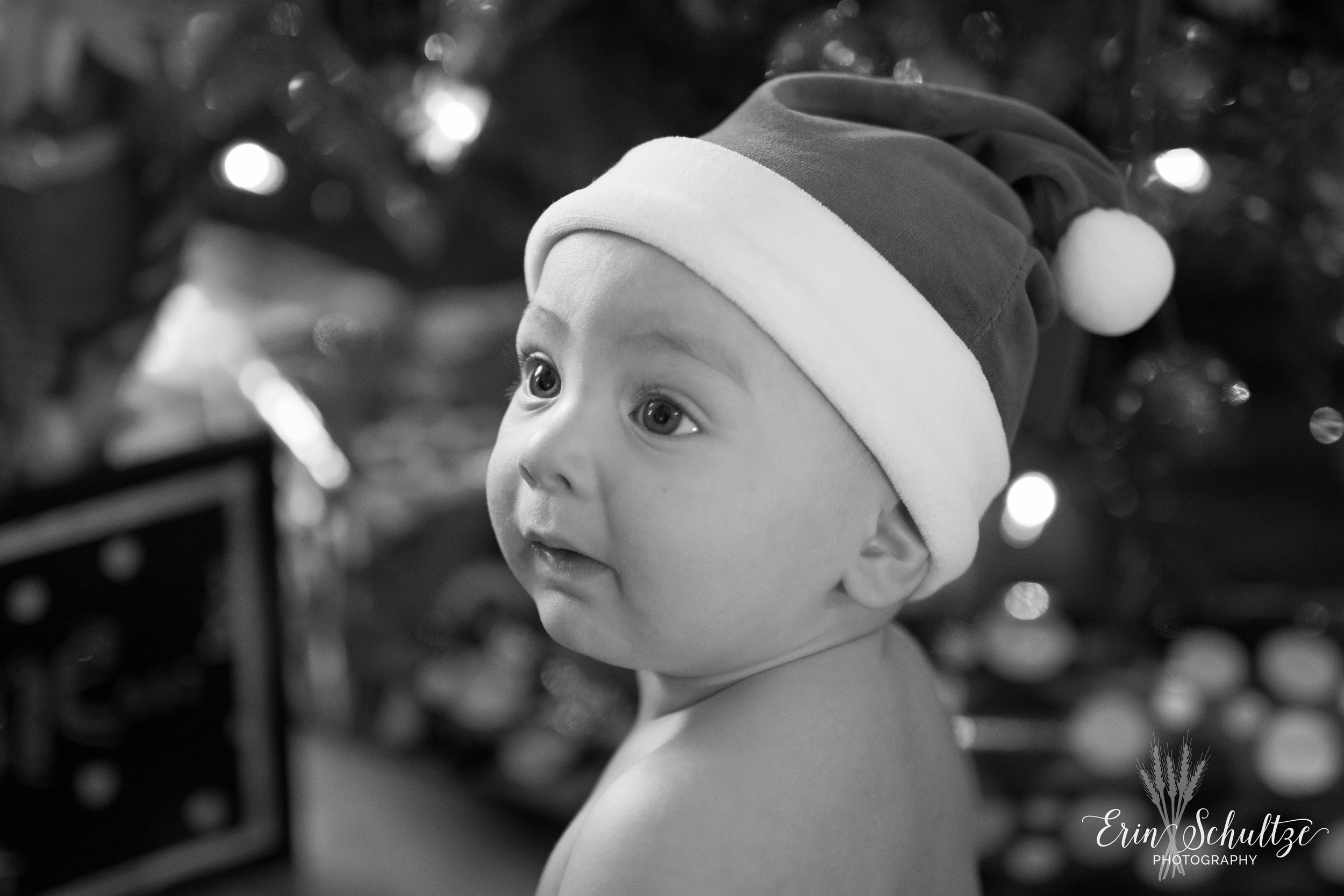 DSC_0650.jpg