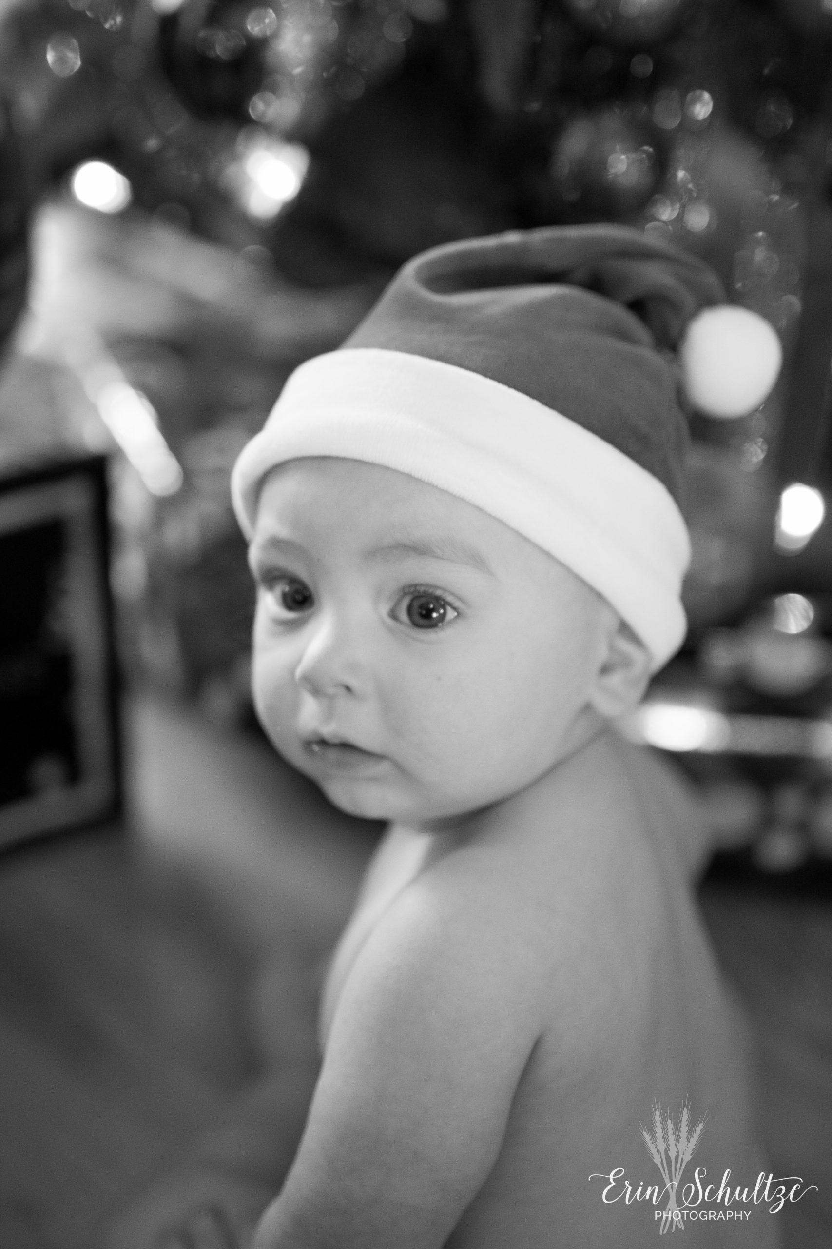 DSC_0651-2.jpg