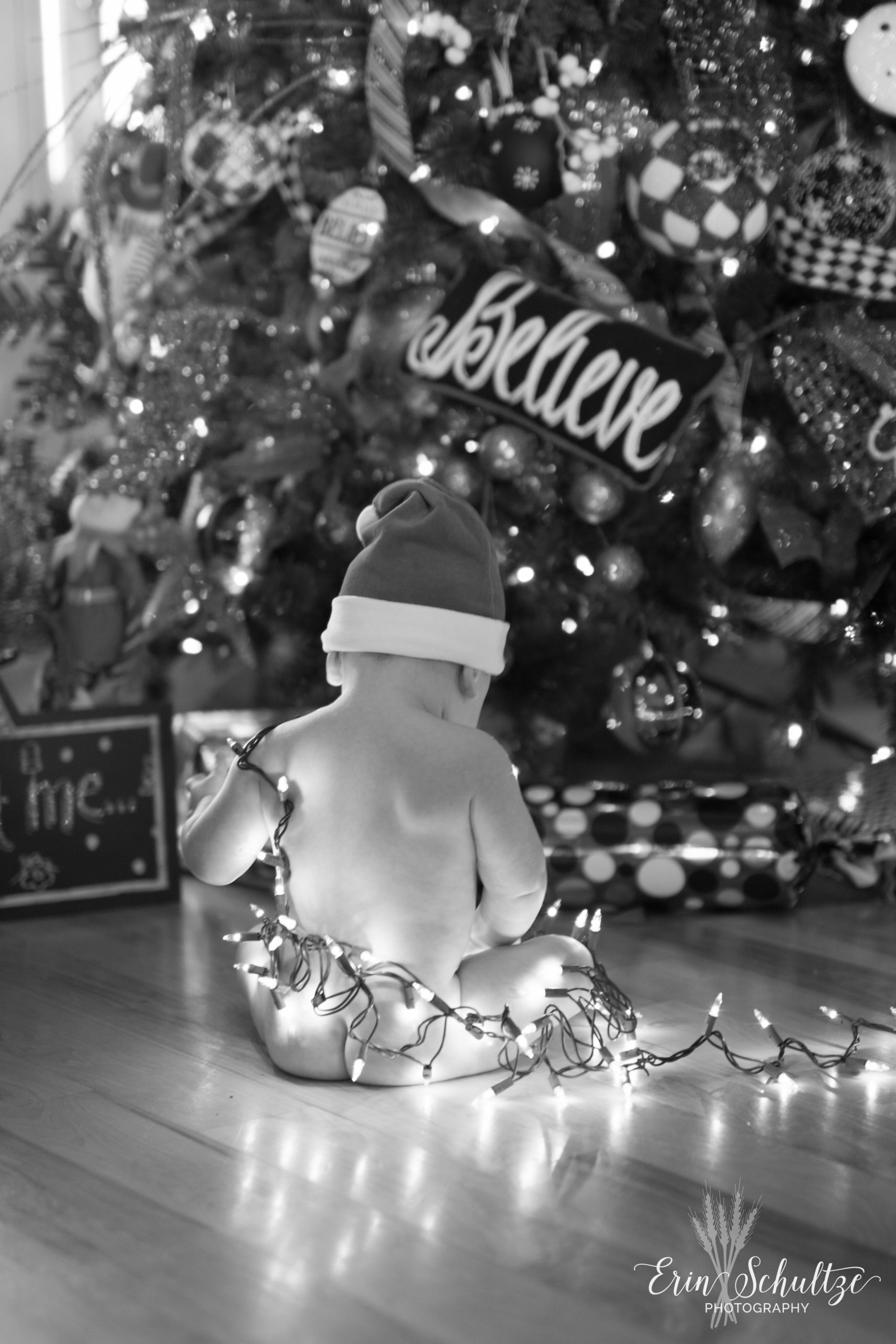 DSC_0684.jpg