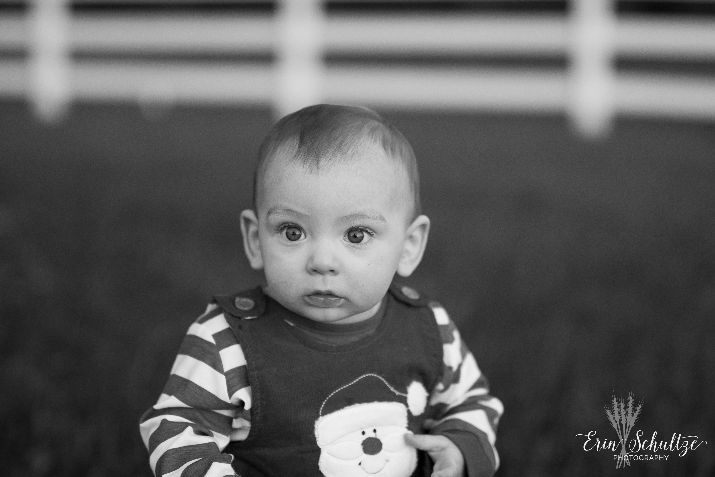 DSC_0897-2.jpg