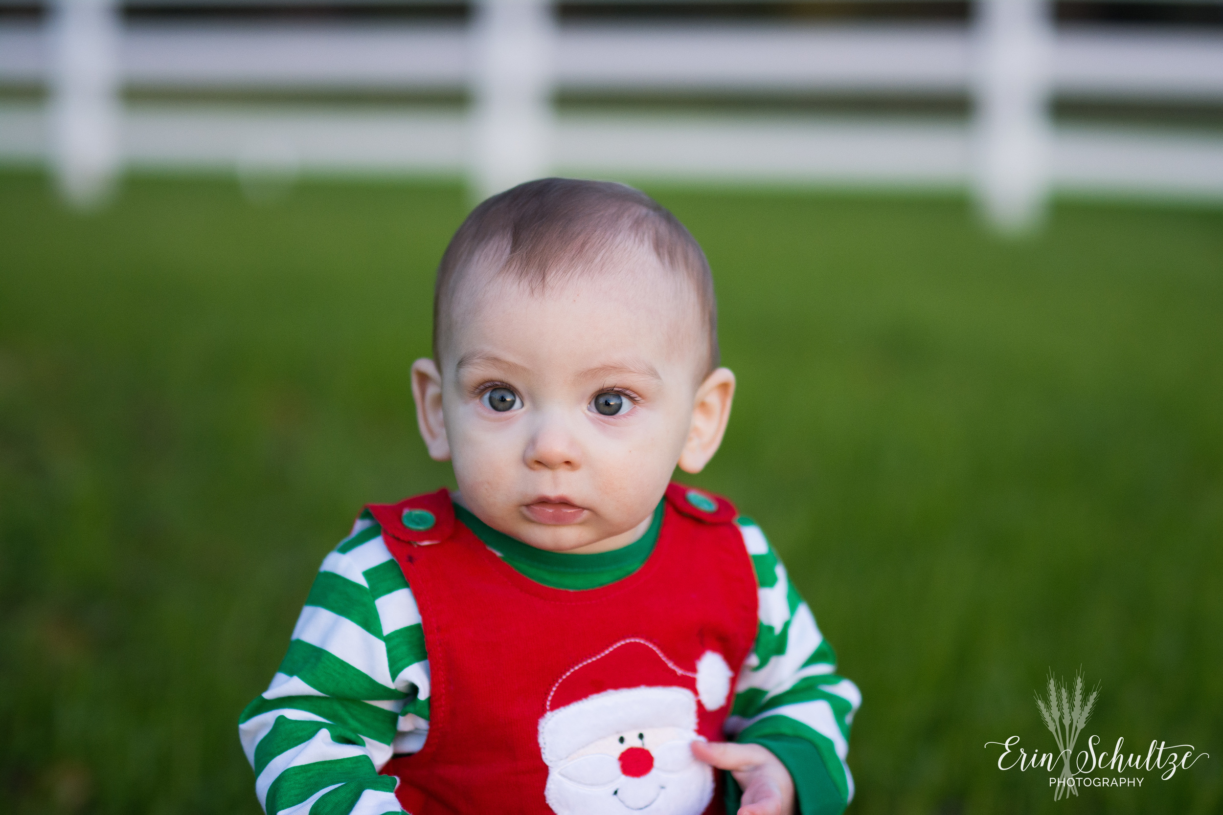 DSC_0897.jpg