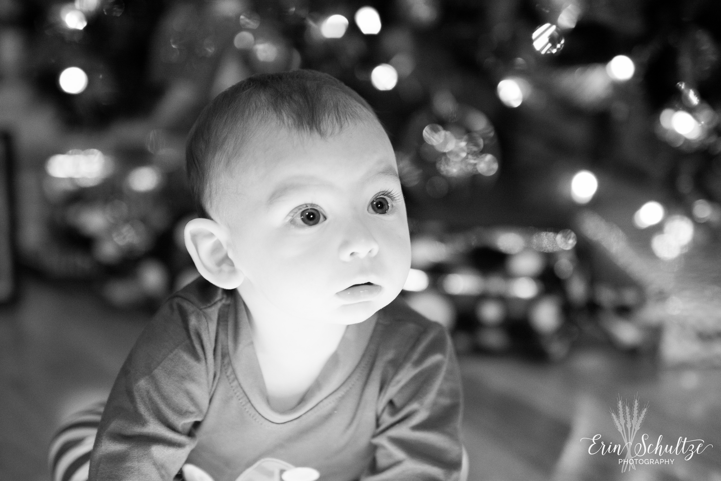 DSC_1042-2.jpg