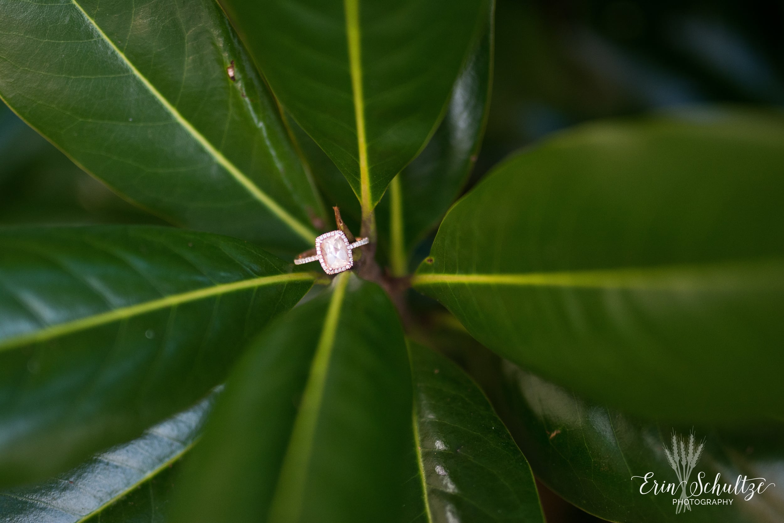 DSC_4019.jpg