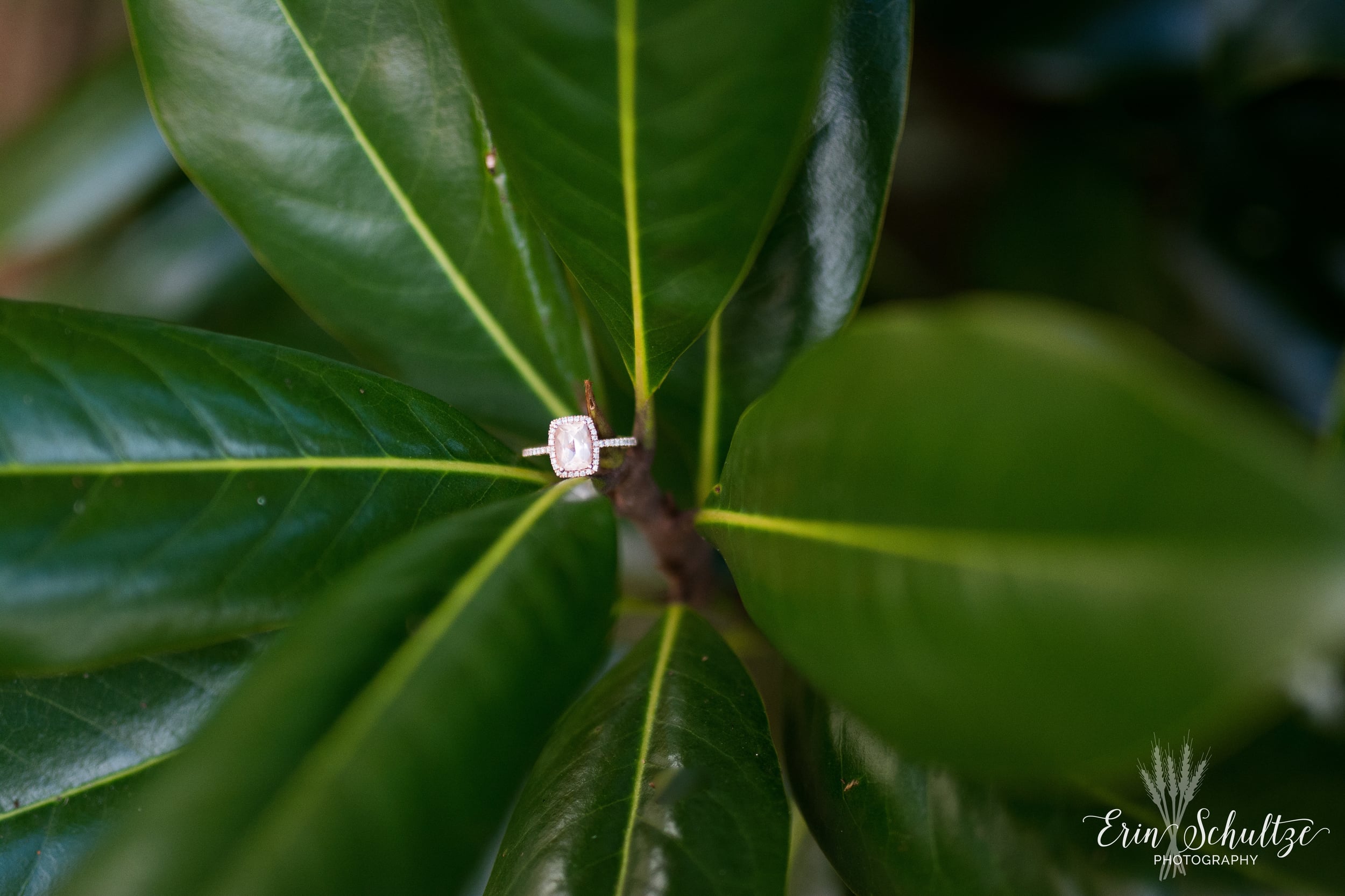 DSC_4020.jpg