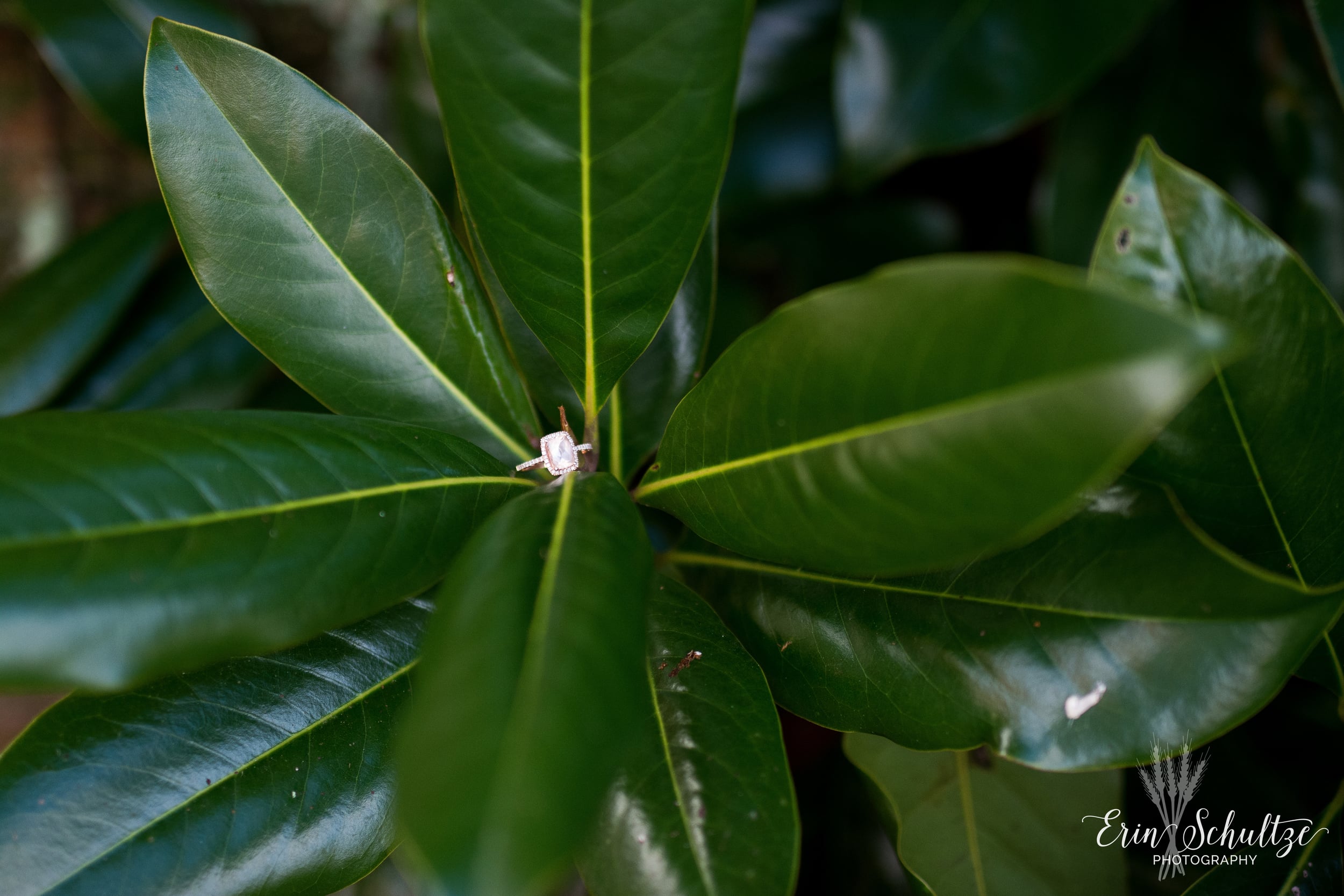 DSC_4022.jpg