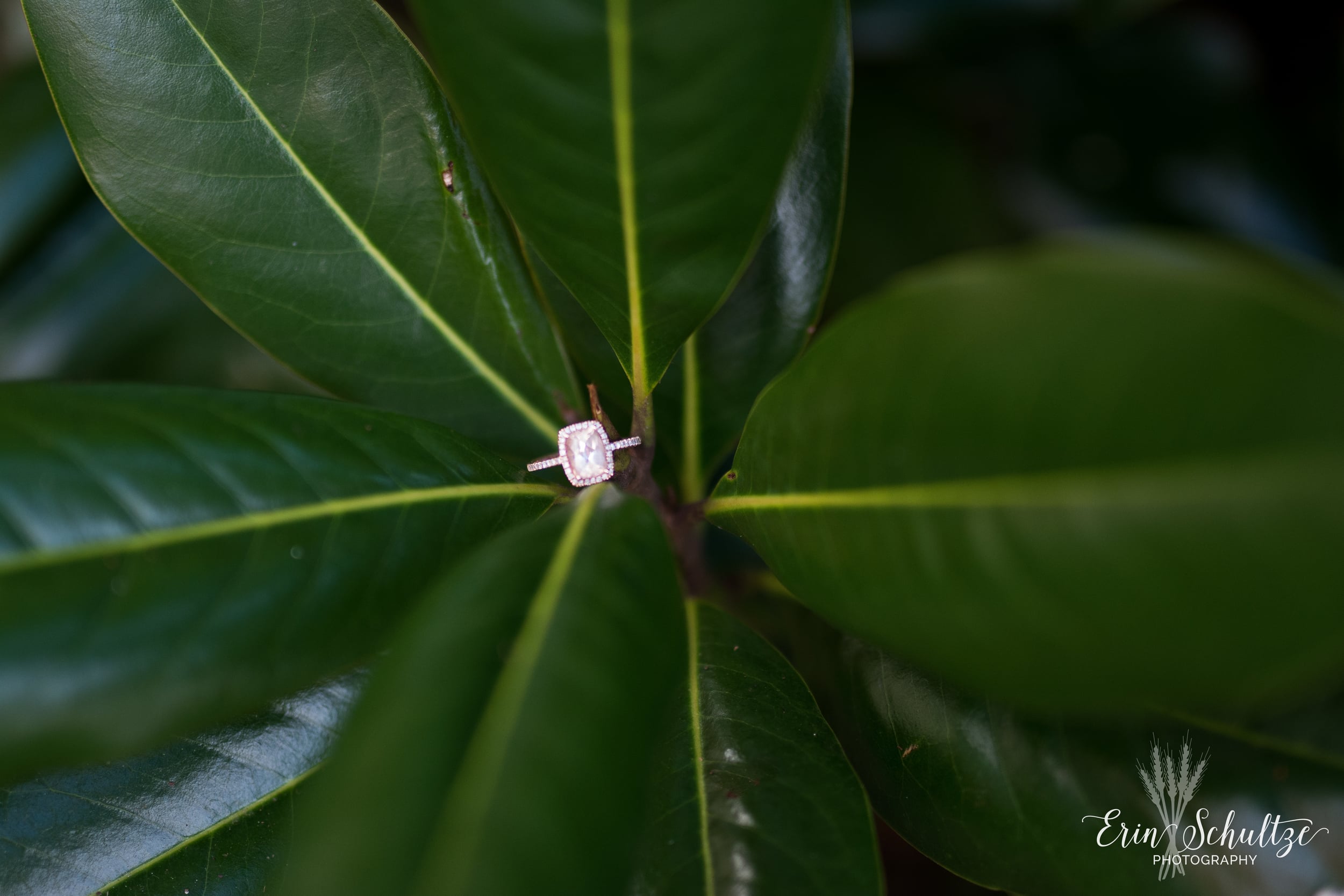 DSC_4025.jpg
