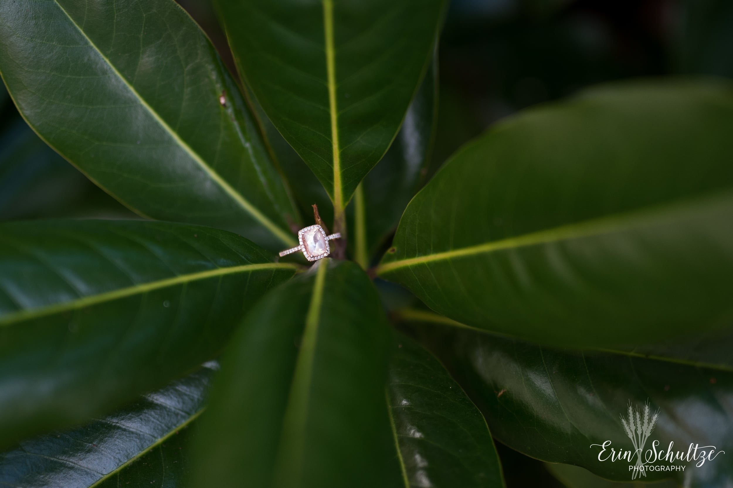 DSC_4026.jpg