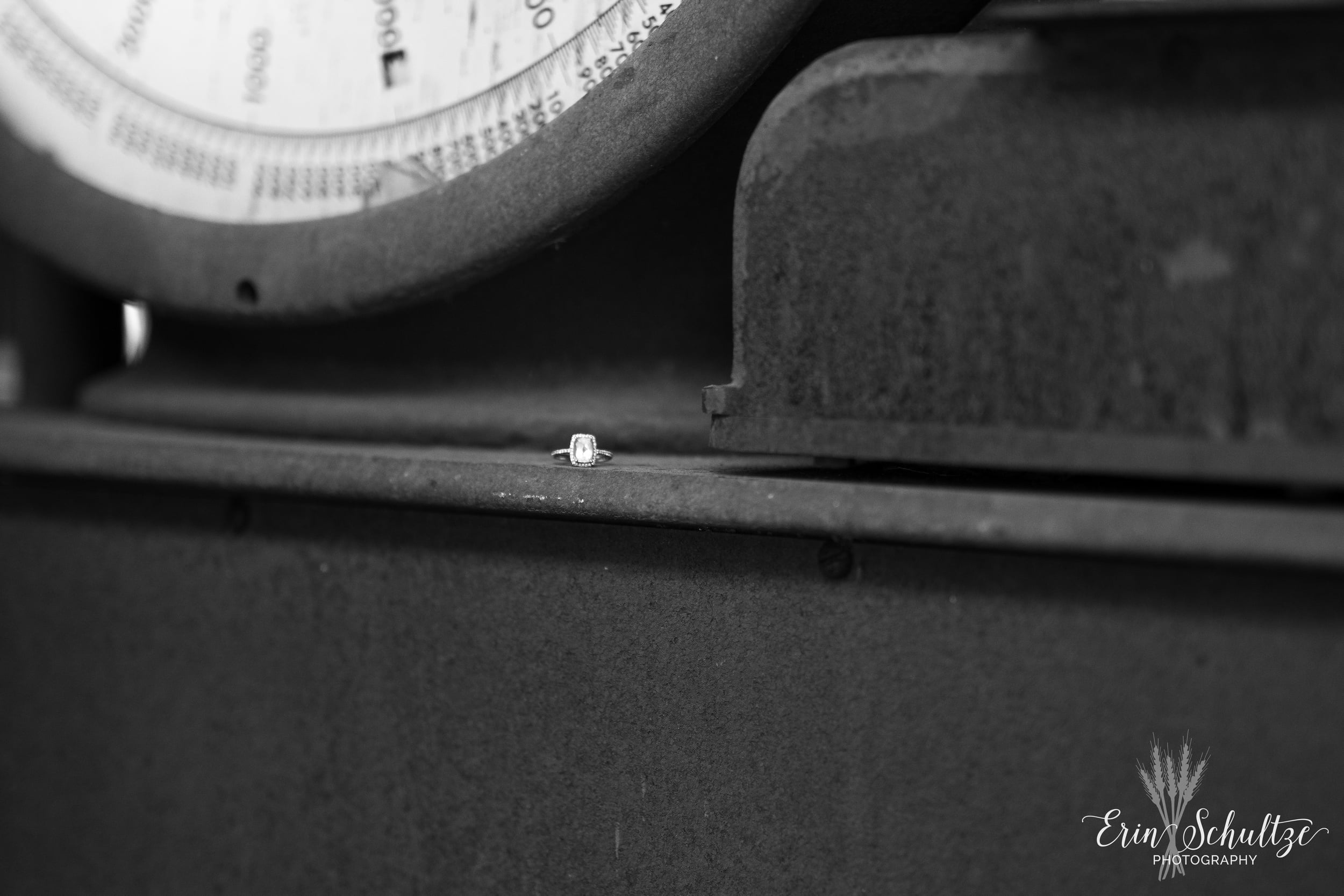 DSC_4042.jpg