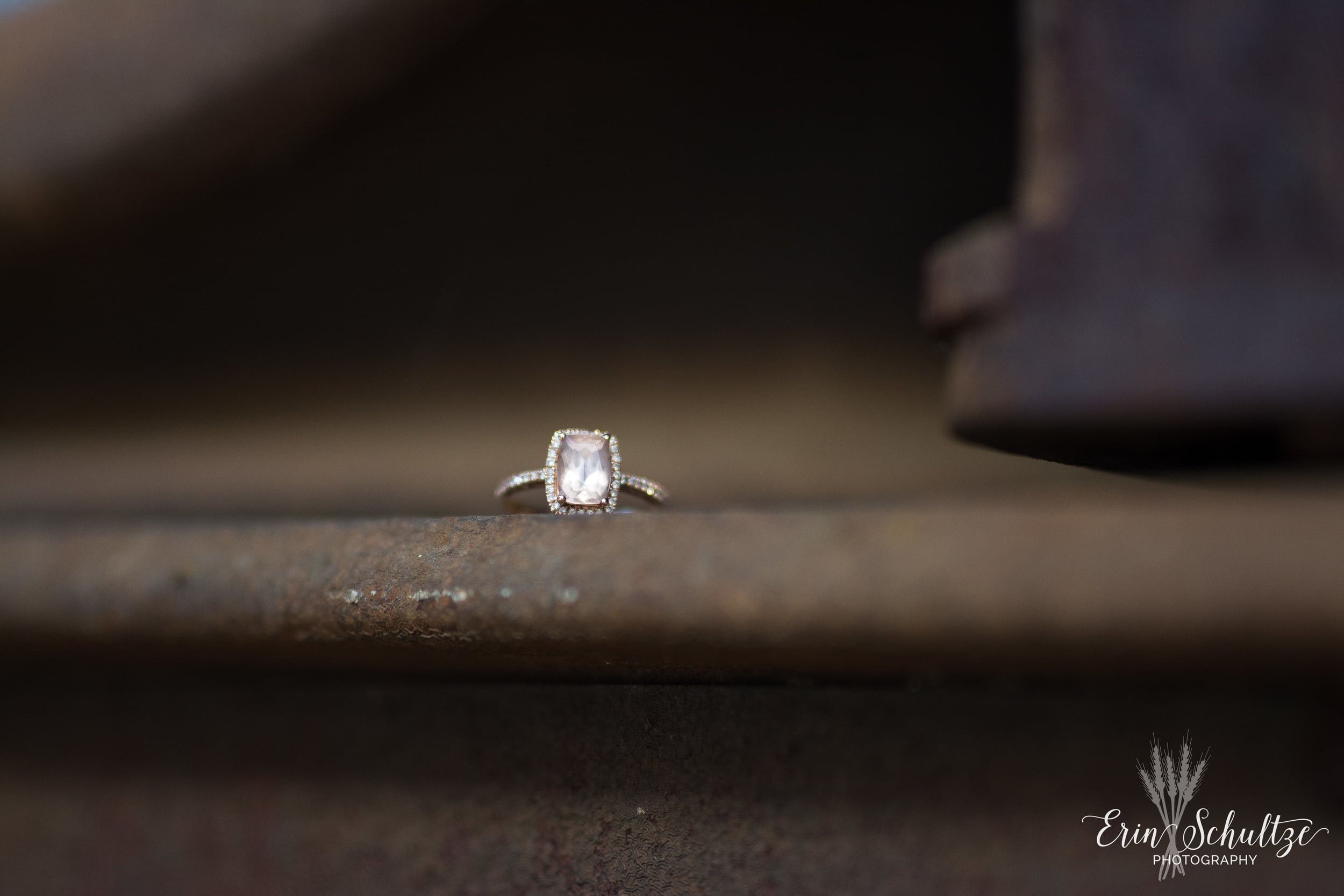 DSC_4044.jpg