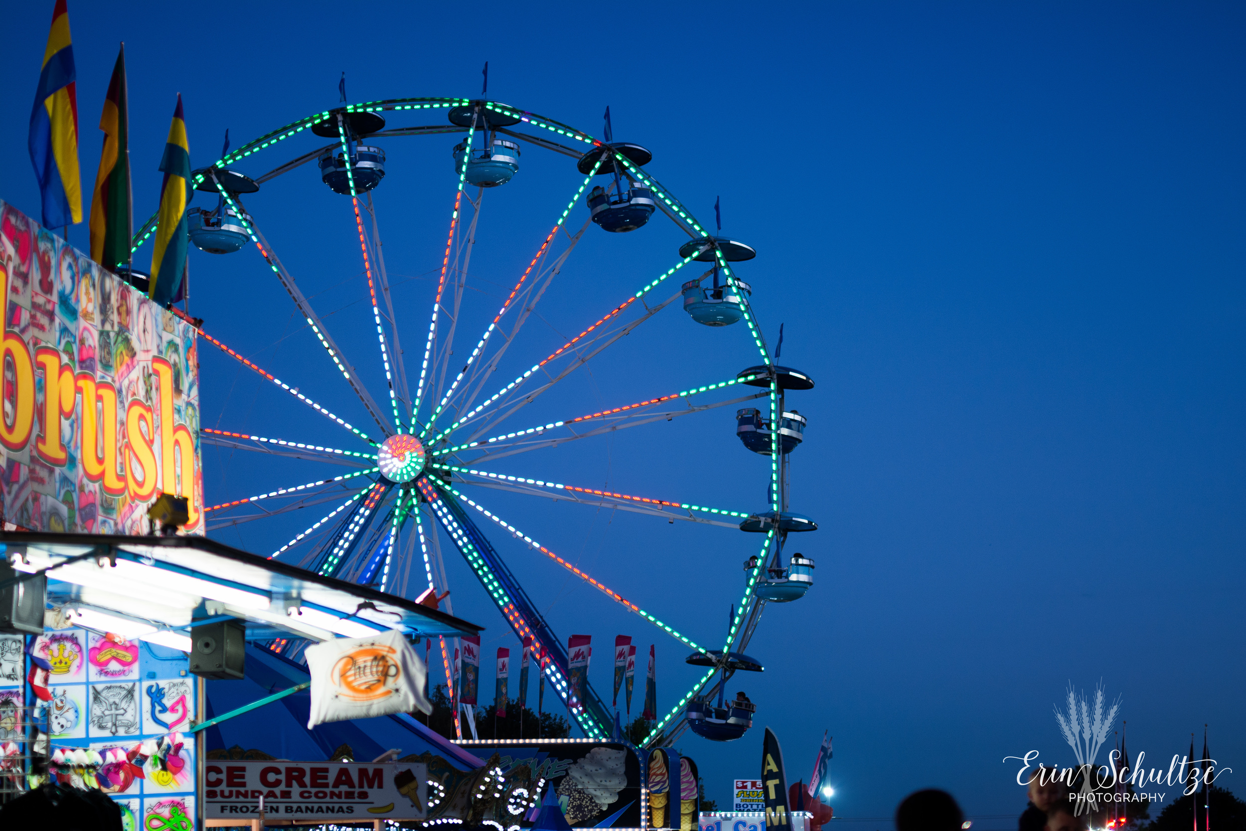 DSC_5506.jpg