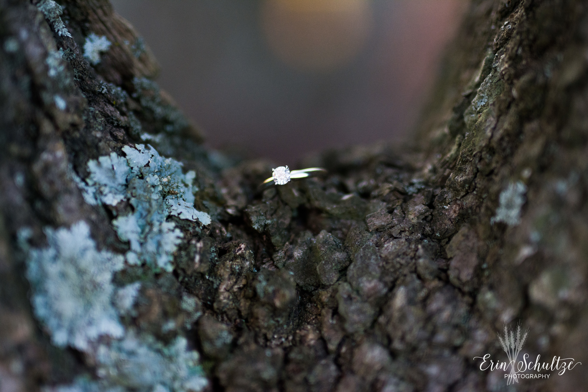 DSC_5052.jpg