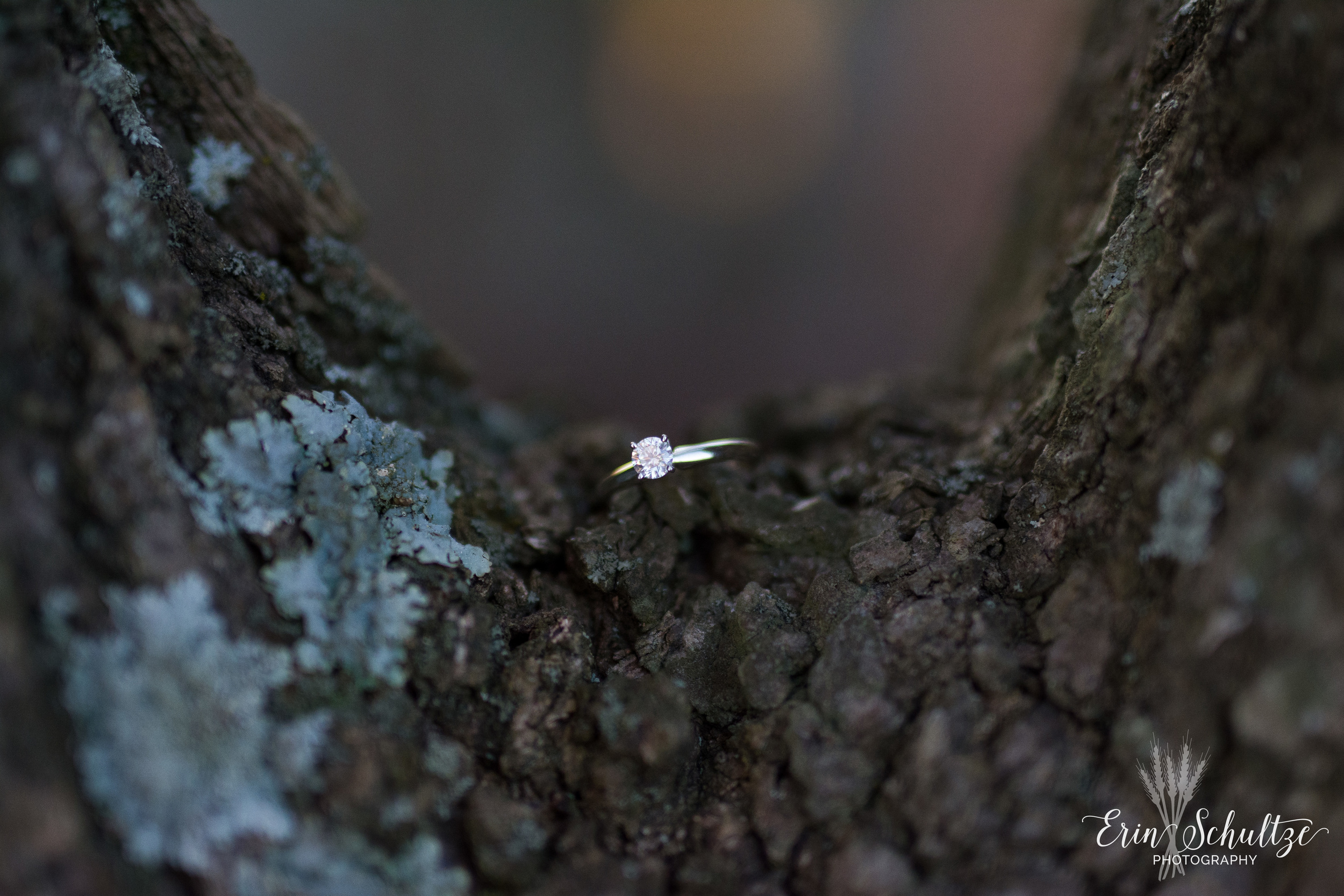 DSC_5053.jpg