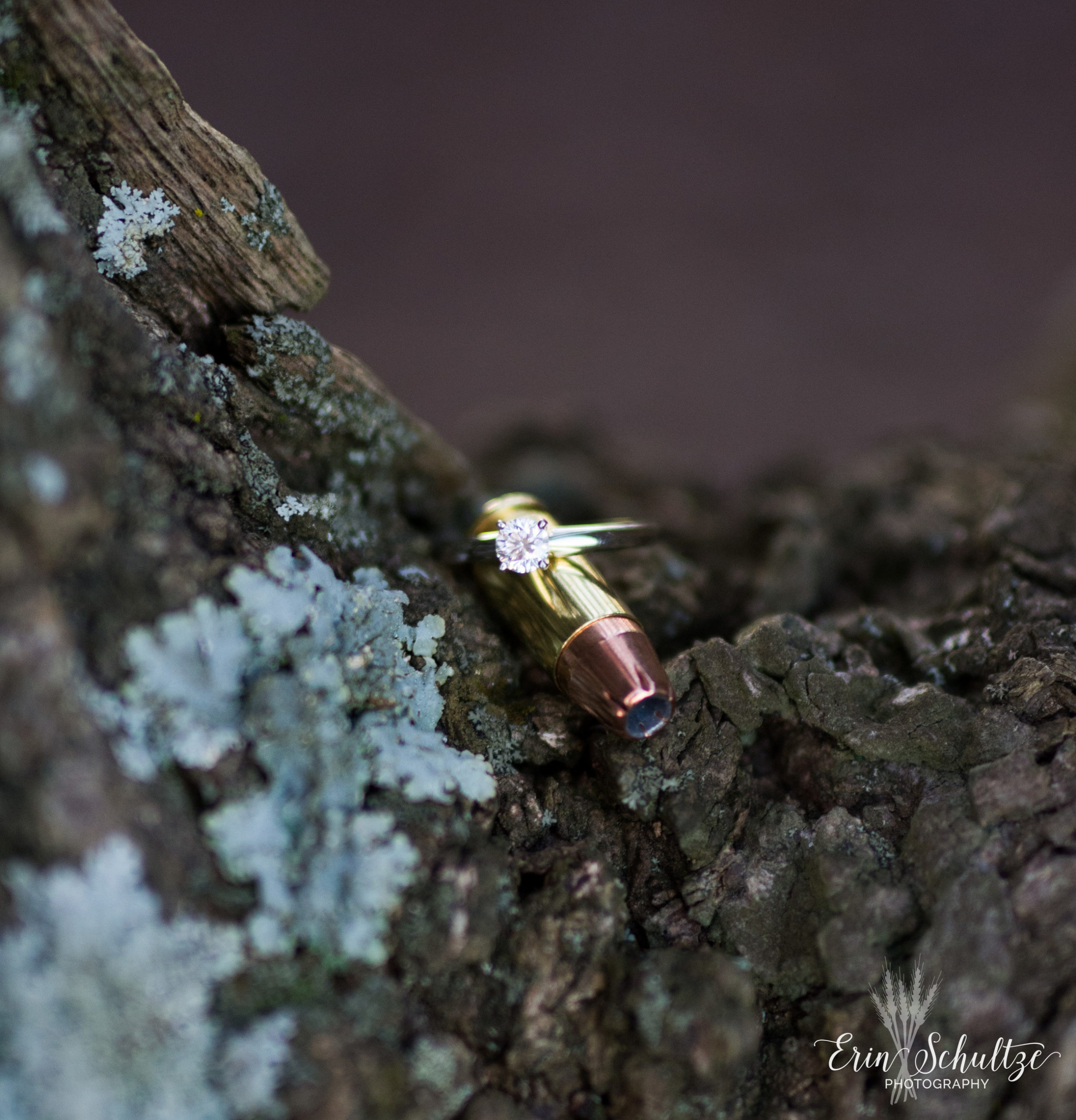 DSC_5059-2.jpg