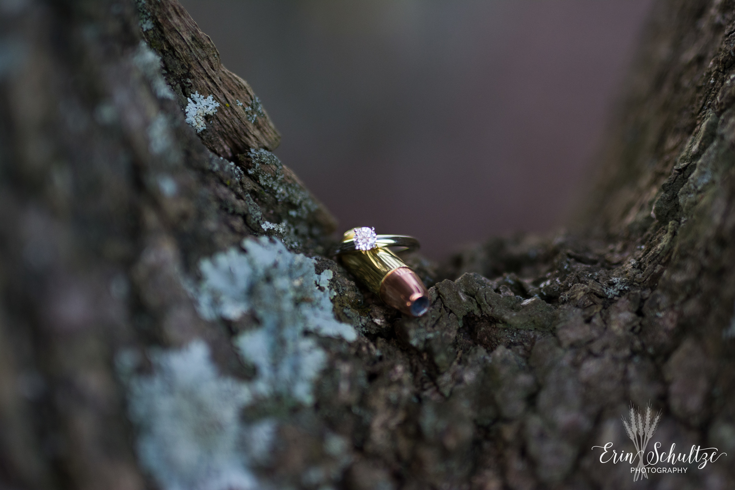 DSC_5060.jpg