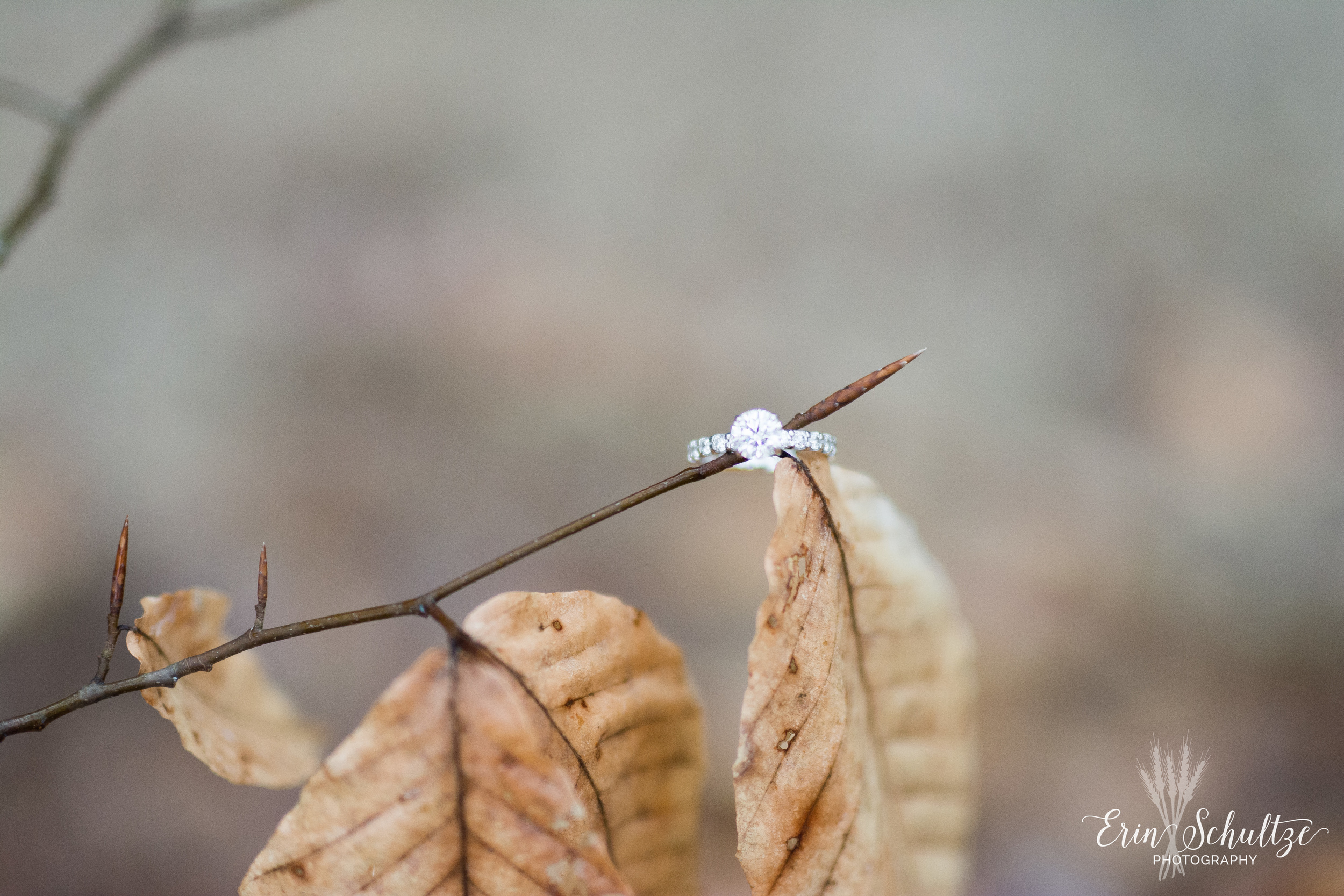 DSC_5870.jpg