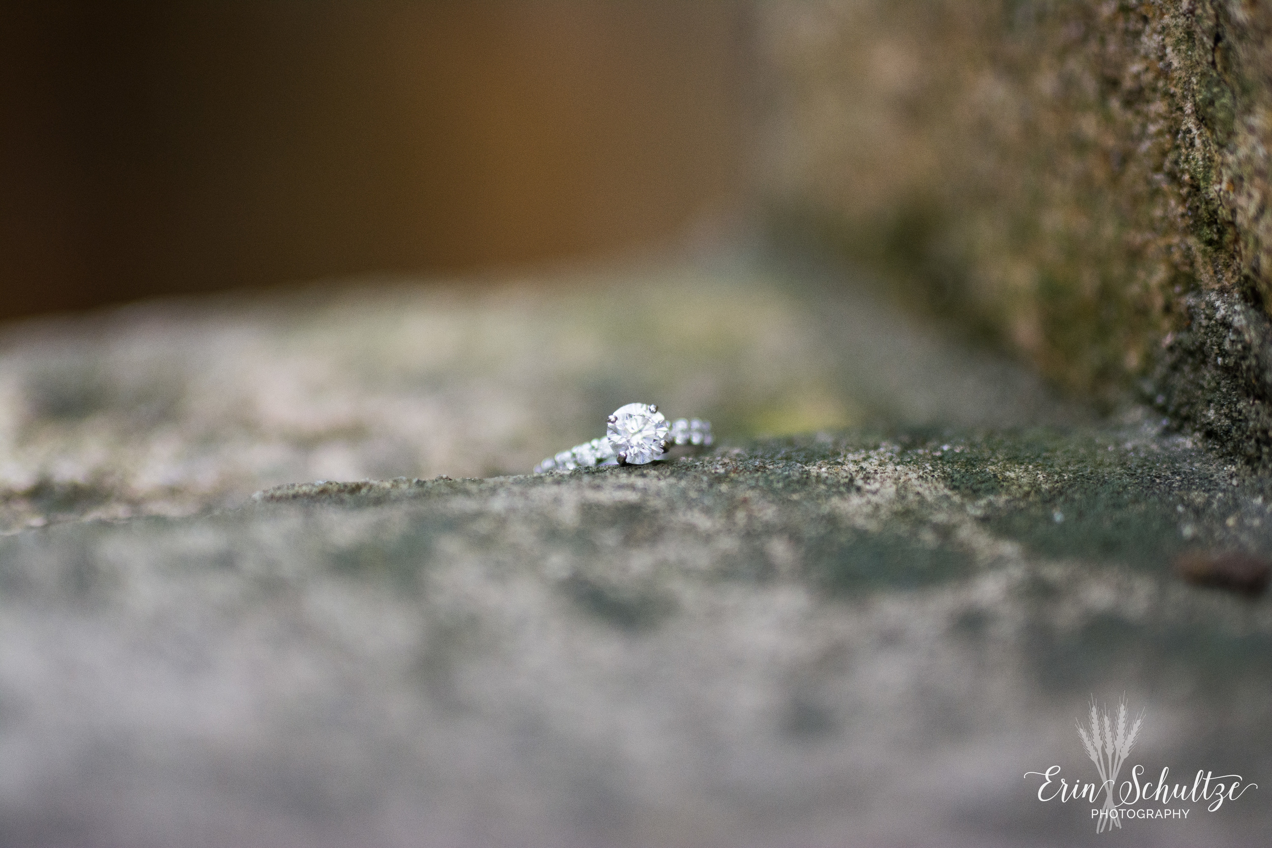DSC_6007.jpg
