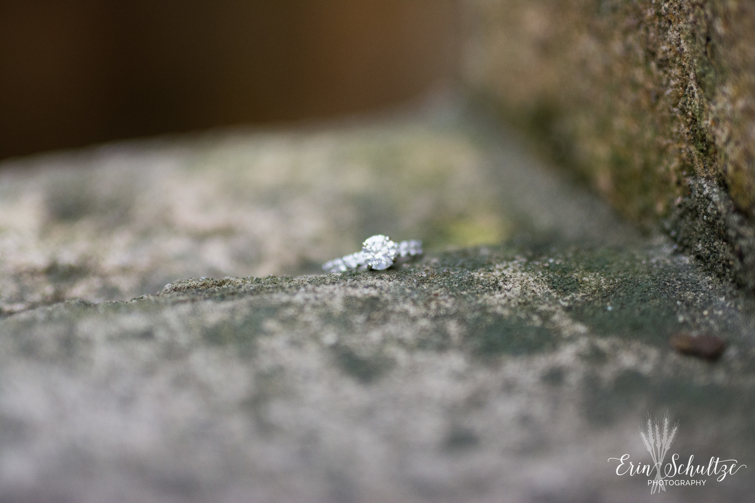 DSC_6008.jpg