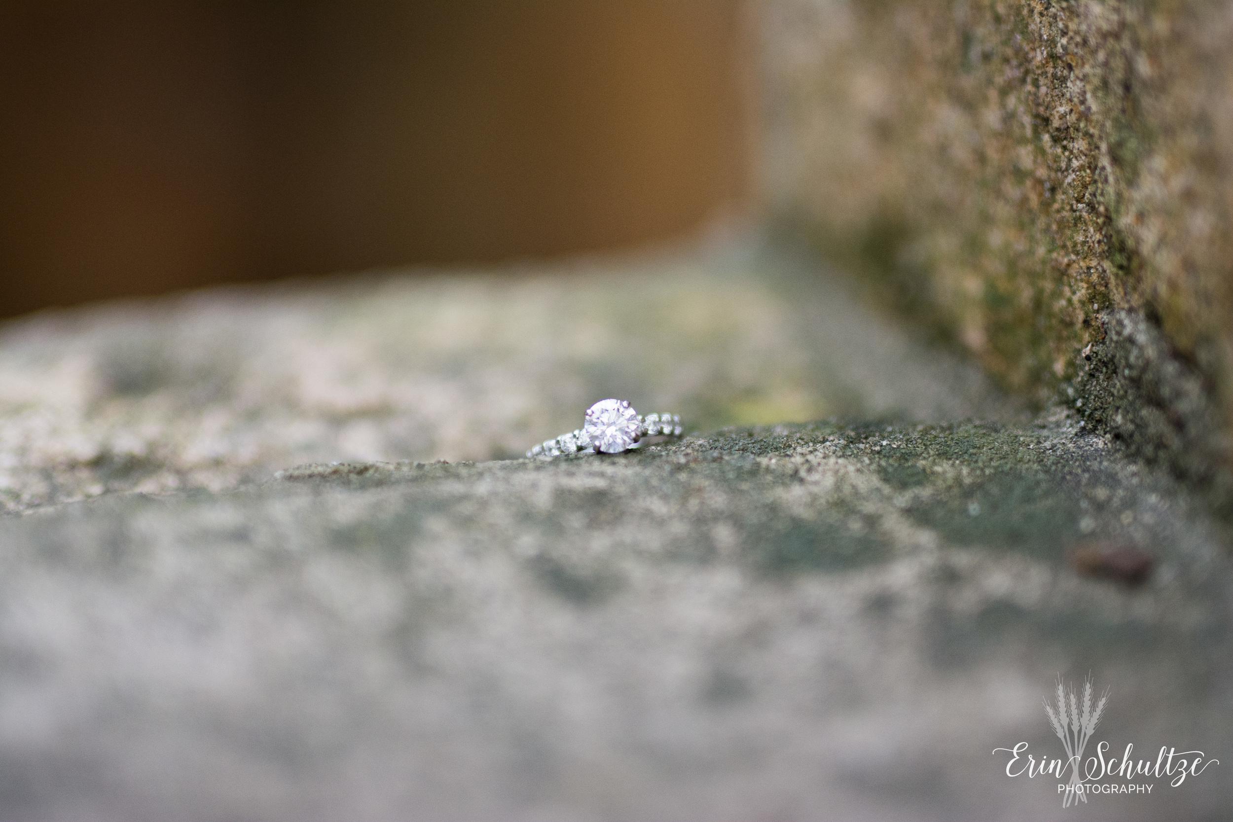 DSC_6009.jpg