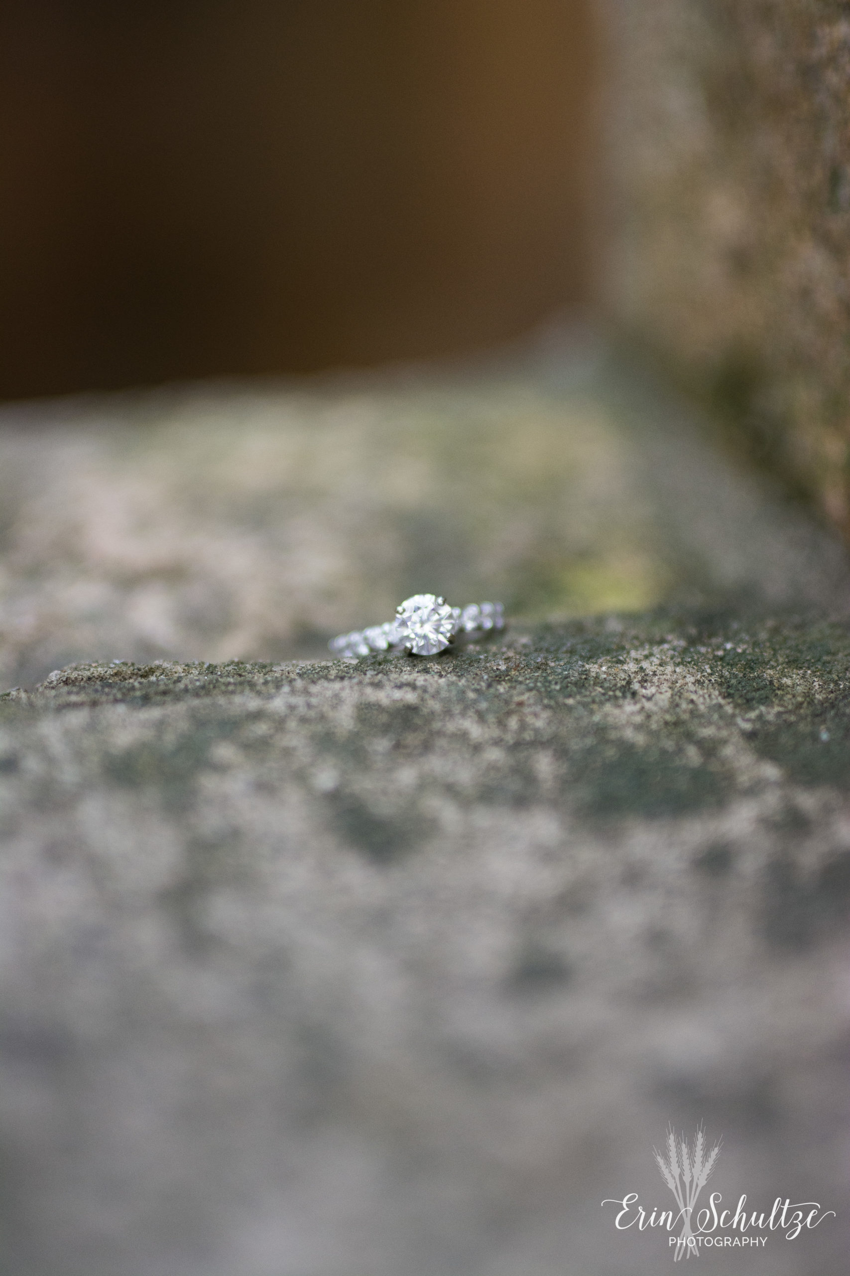 DSC_6010.jpg