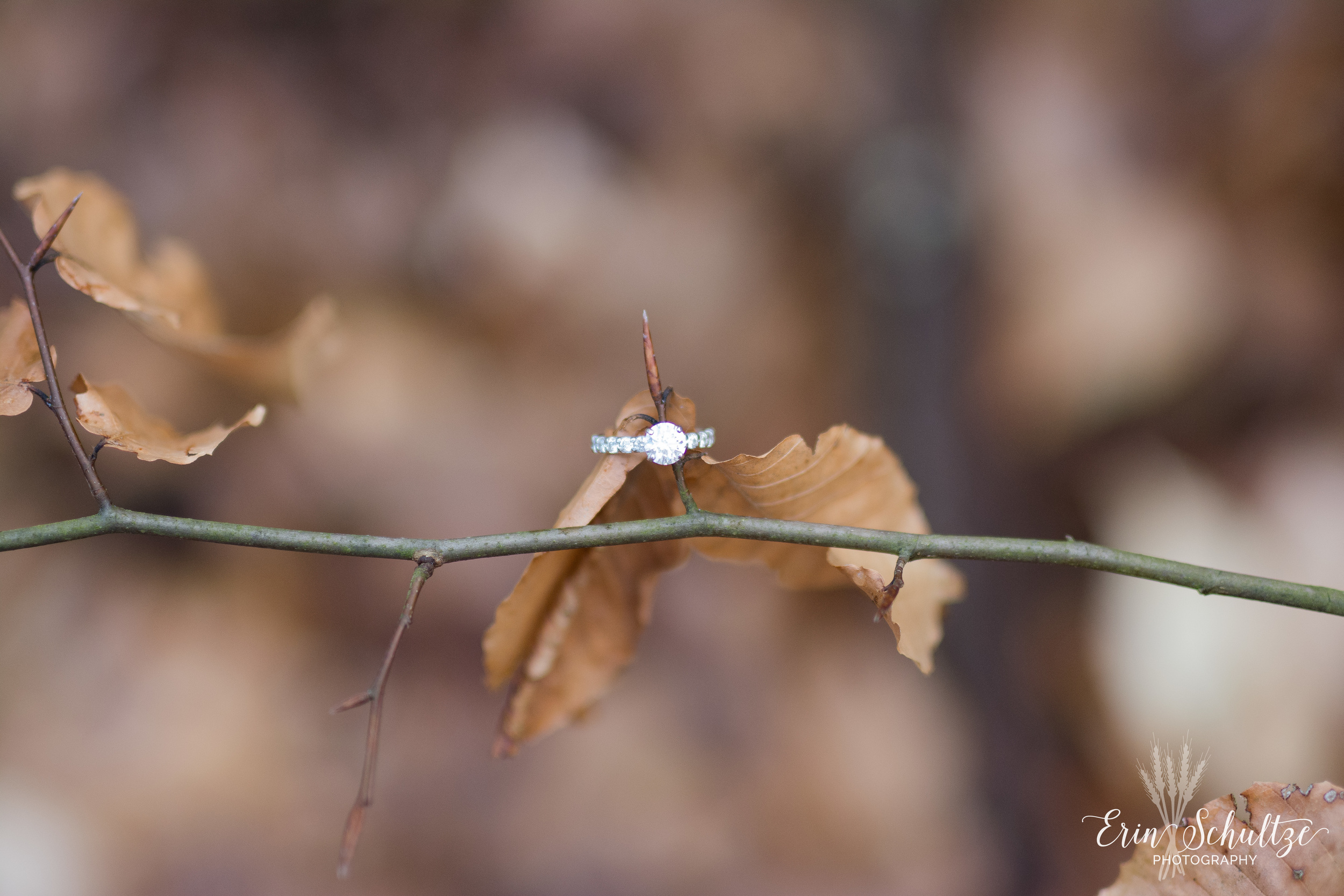 DSC_6011.jpg