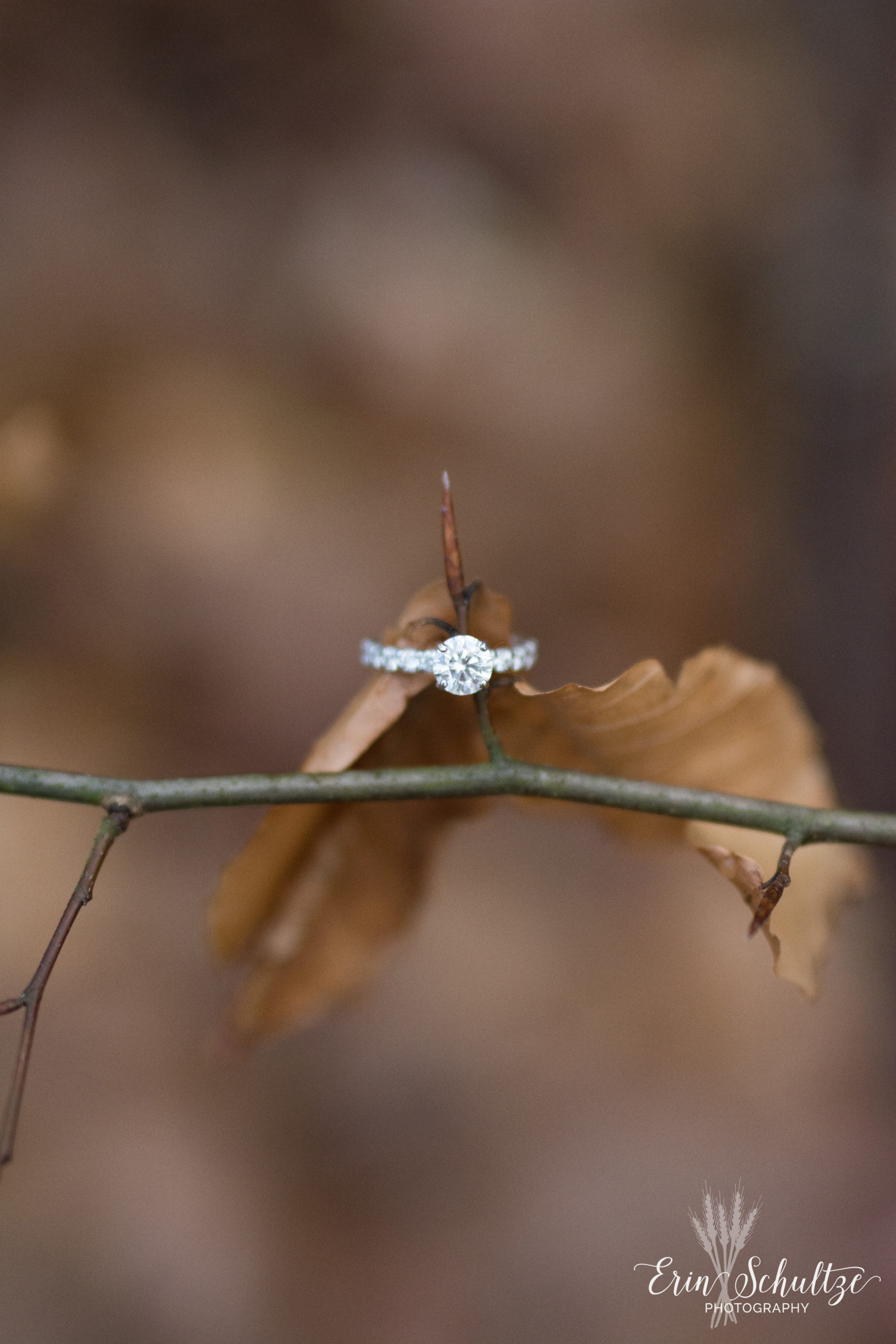 DSC_6013.jpg