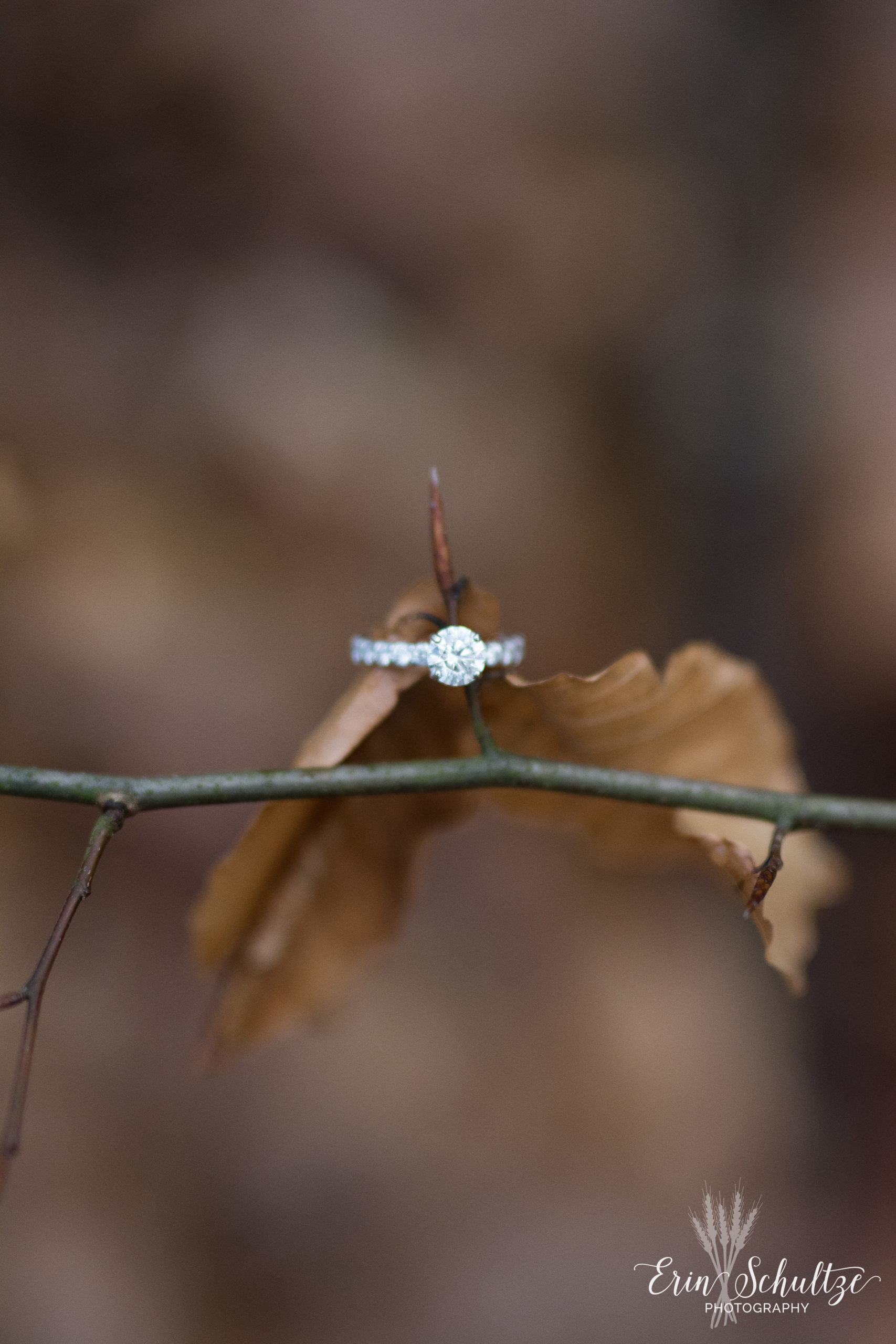 DSC_6015.jpg