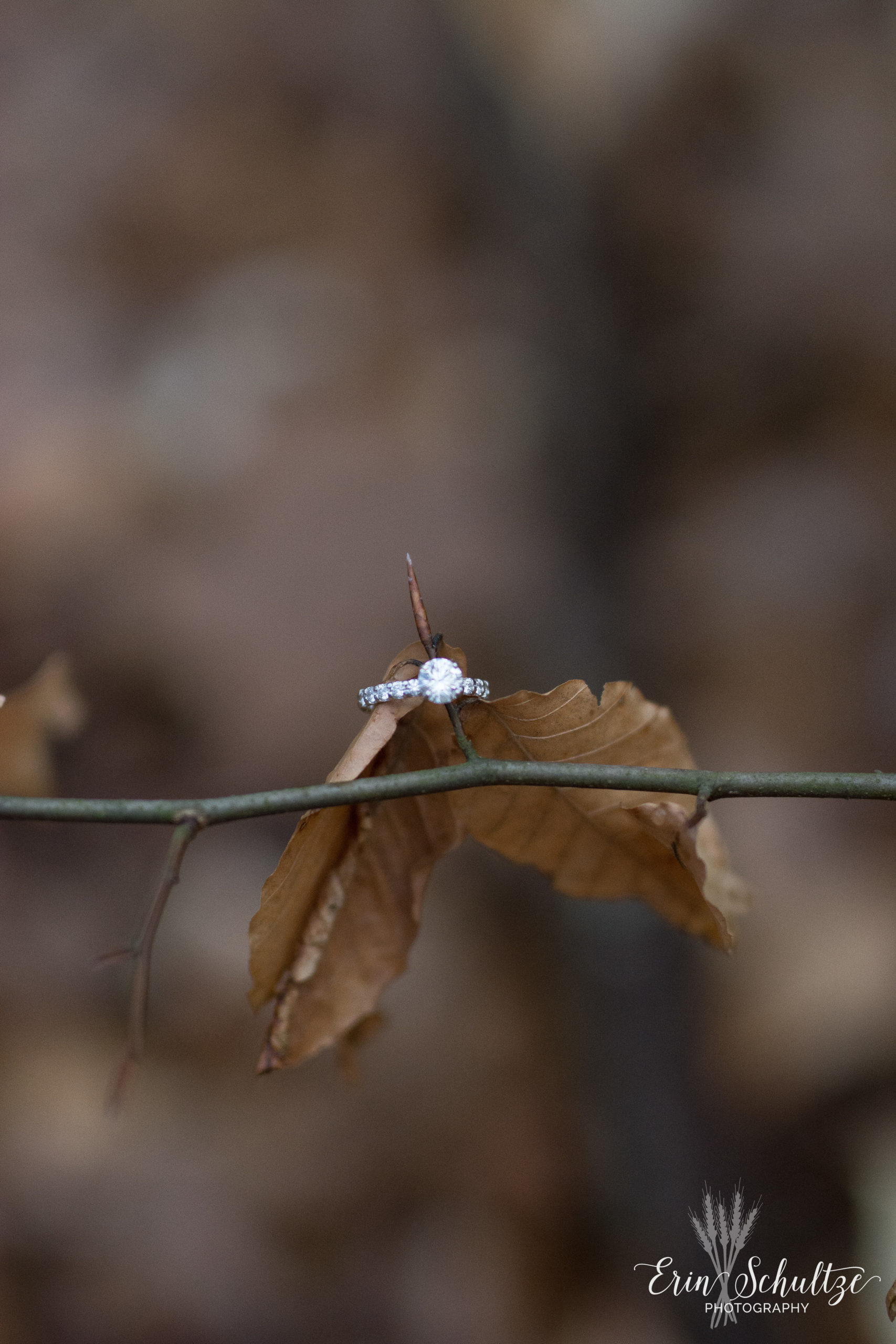 DSC_6019.jpg