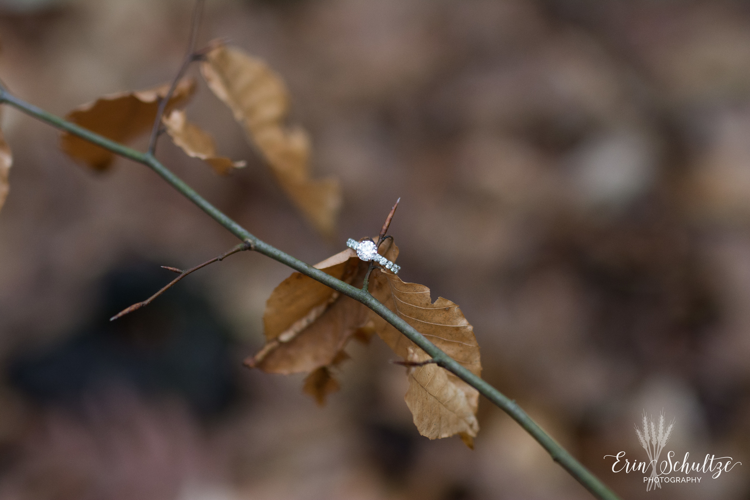 DSC_6022.jpg