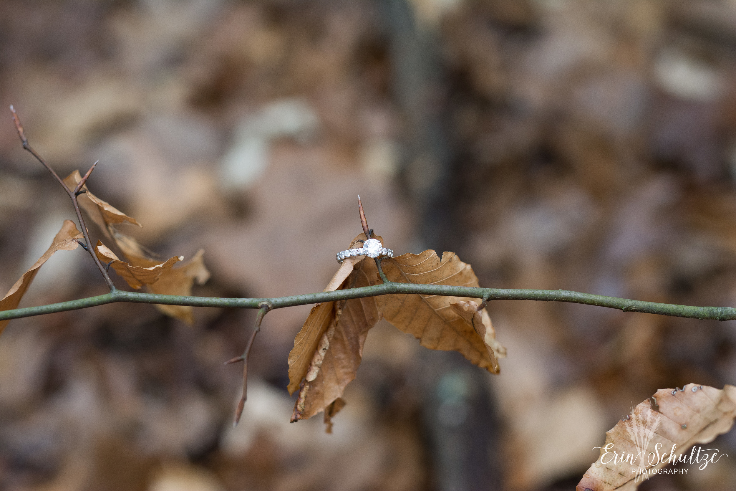 DSC_6026.jpg