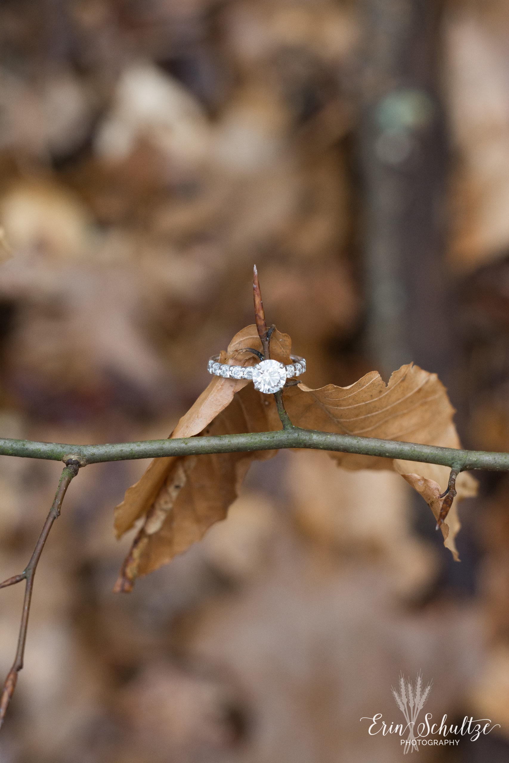 DSC_6031.jpg
