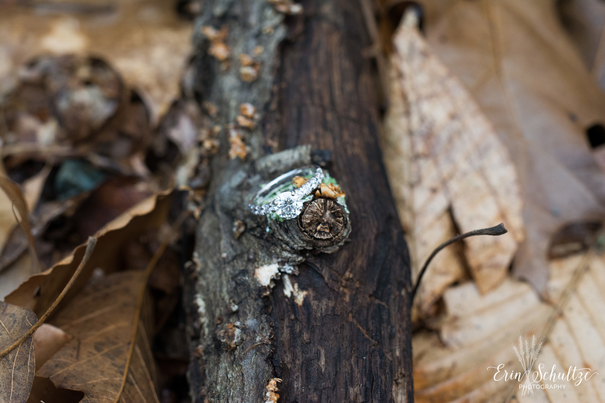 DSC_6034.jpg