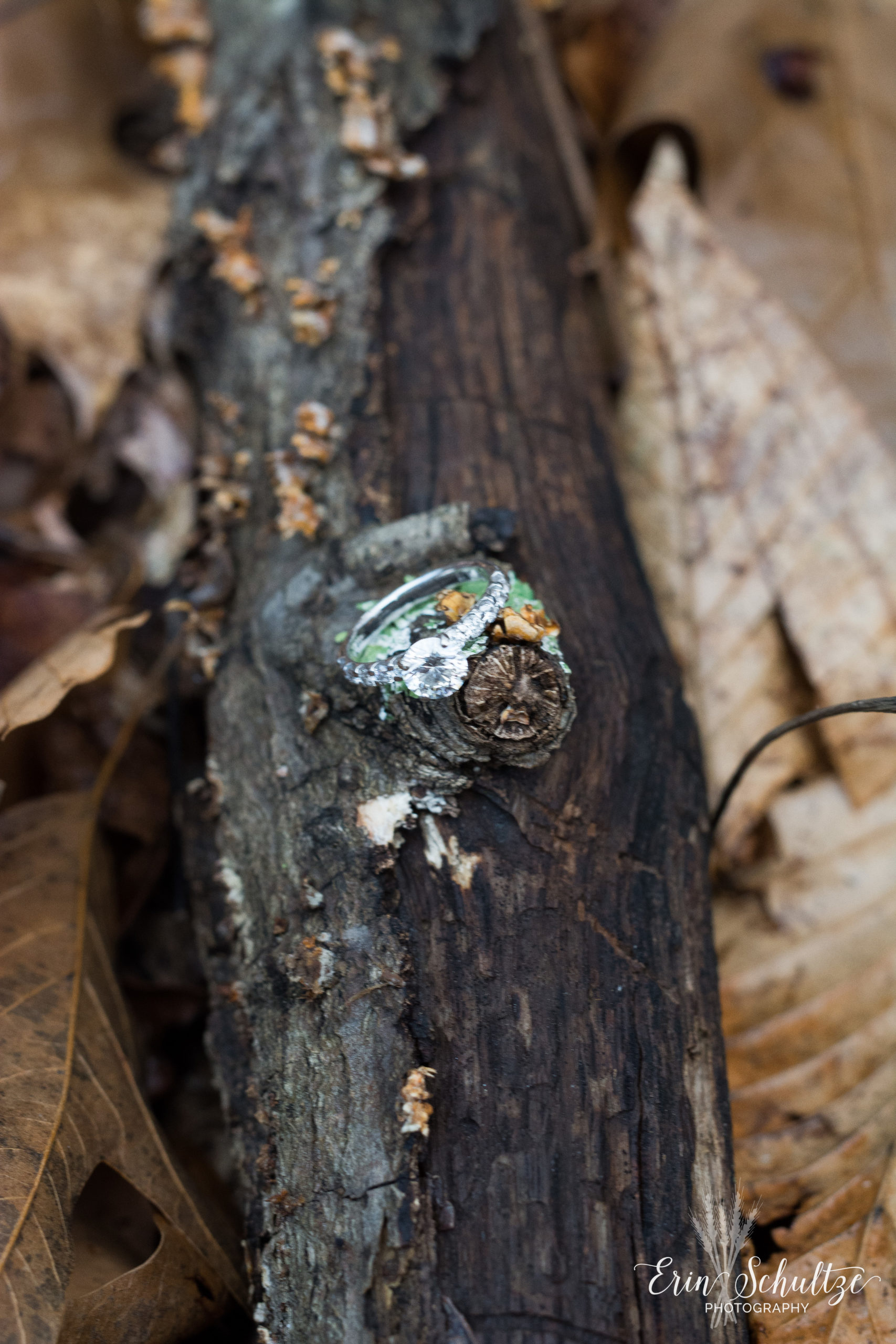 DSC_6035.jpg
