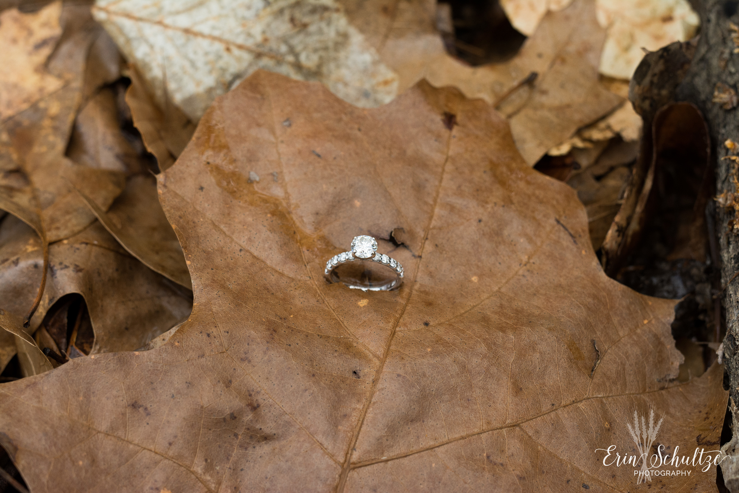 DSC_6037.jpg