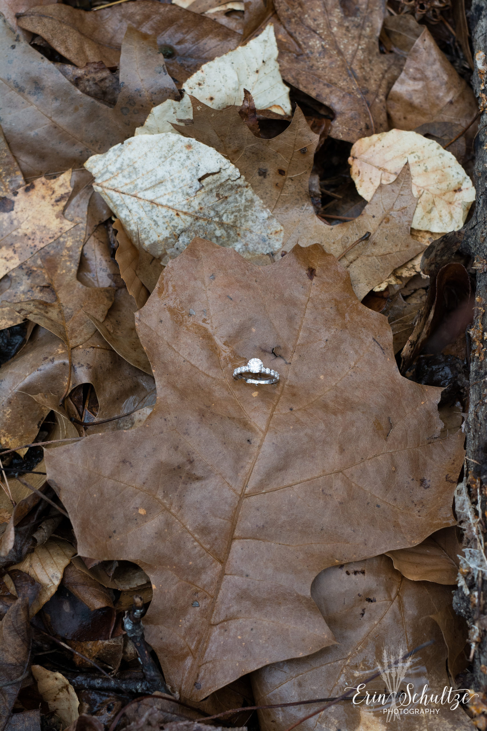 DSC_6038.jpg