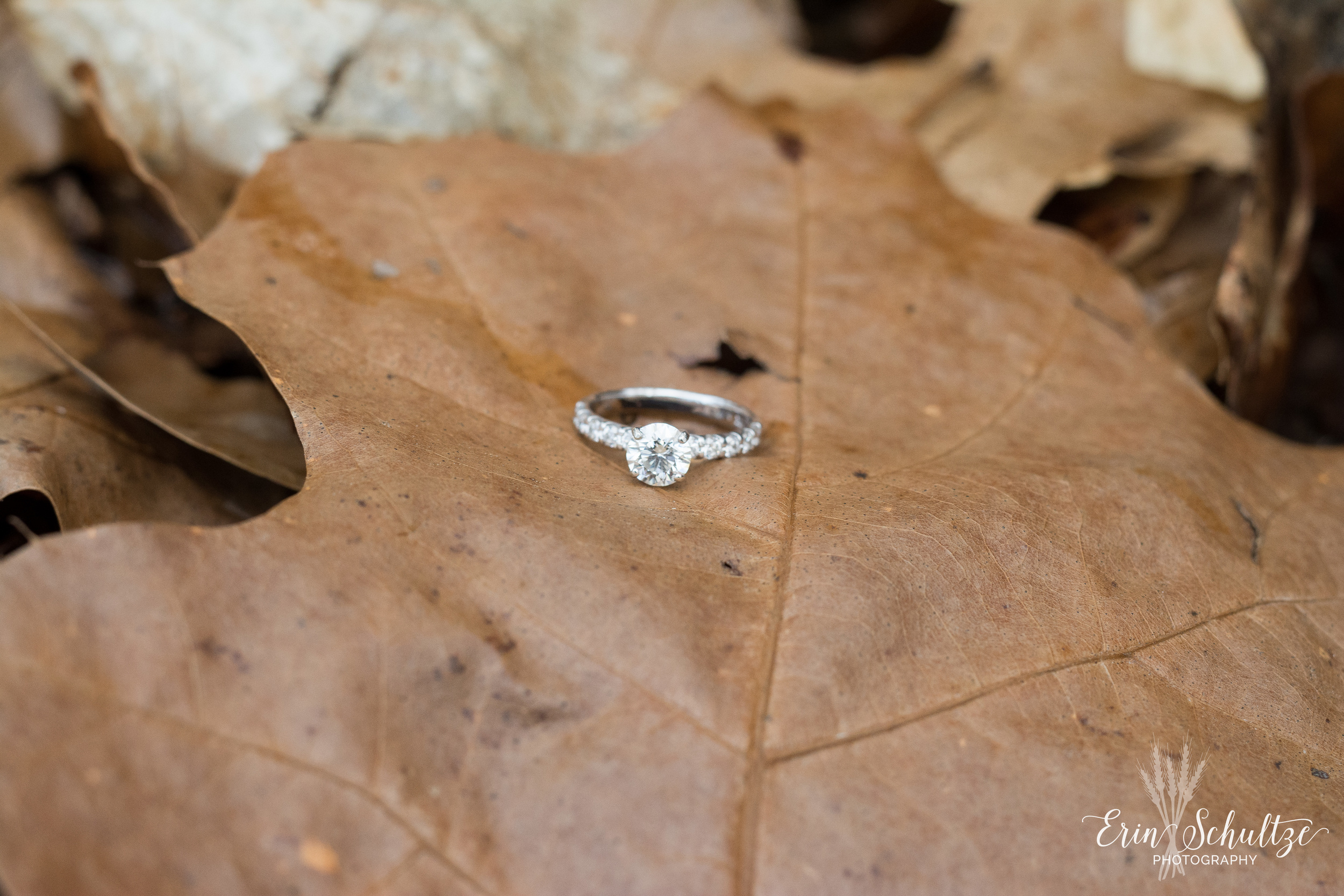 DSC_6040.jpg