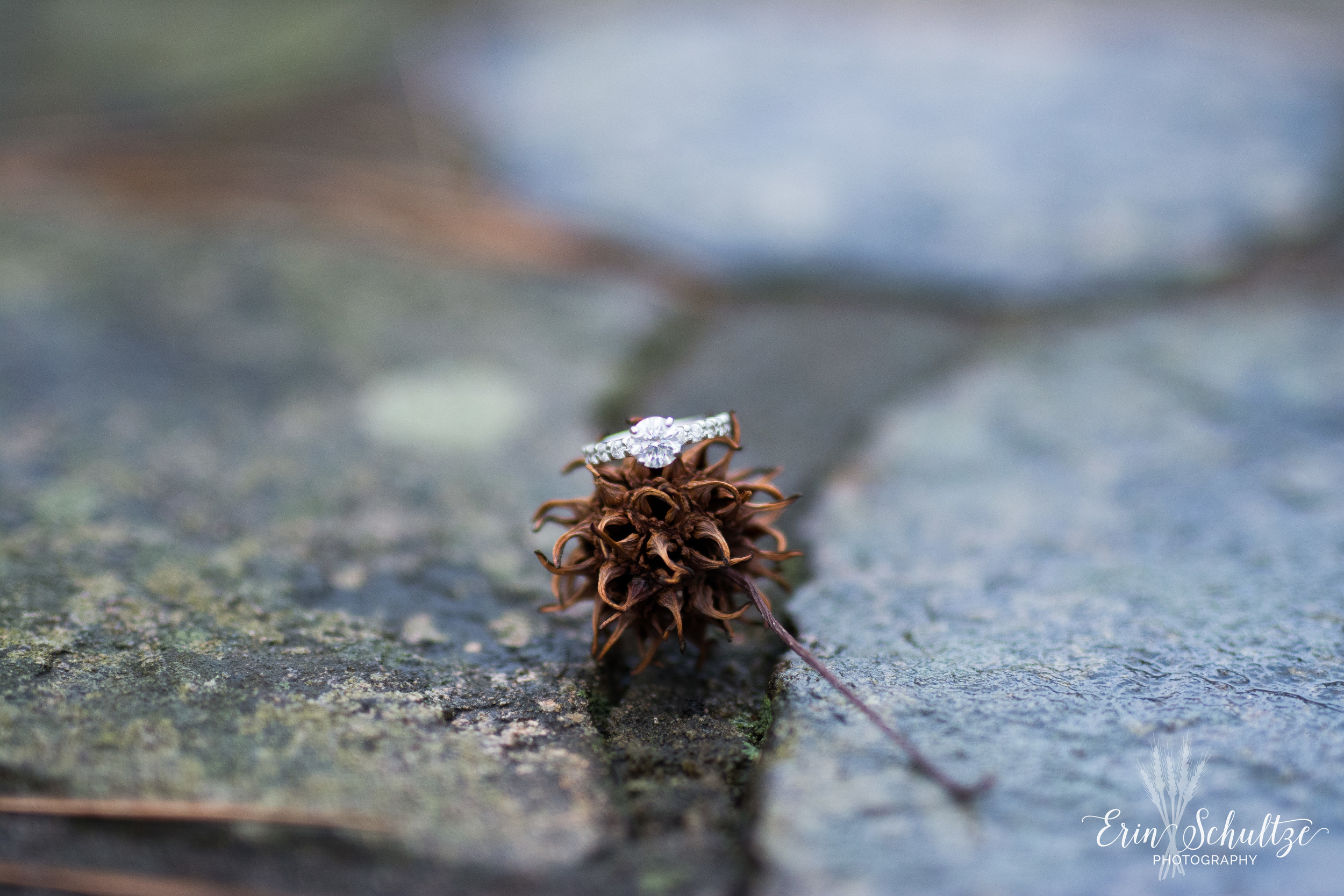 DSC_6048.jpg