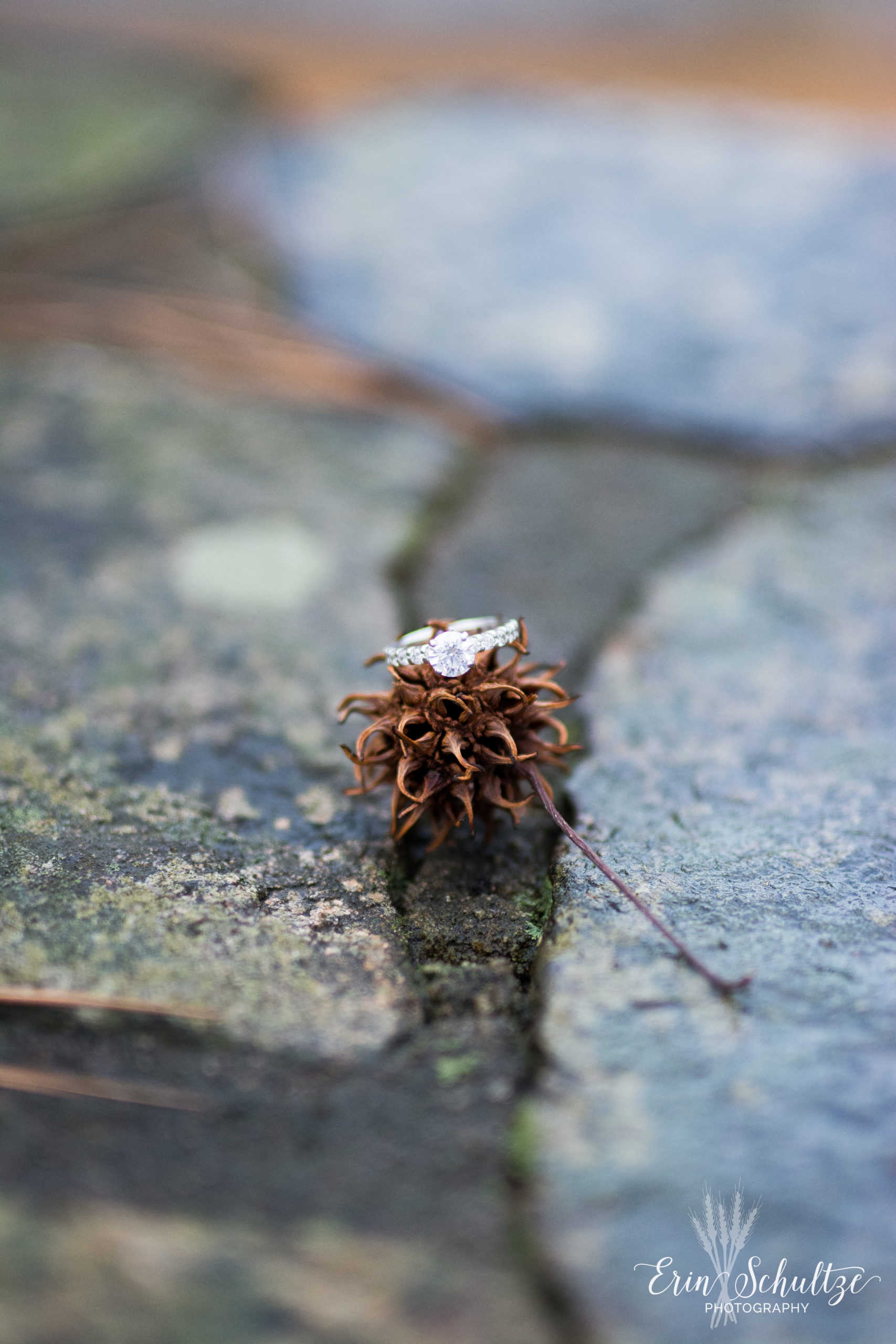 DSC_6049.jpg